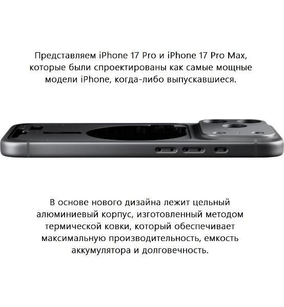 Смартфон Apple iPhone 17 Pro 1TB Silver Sim/eSim (без RuStore) фото