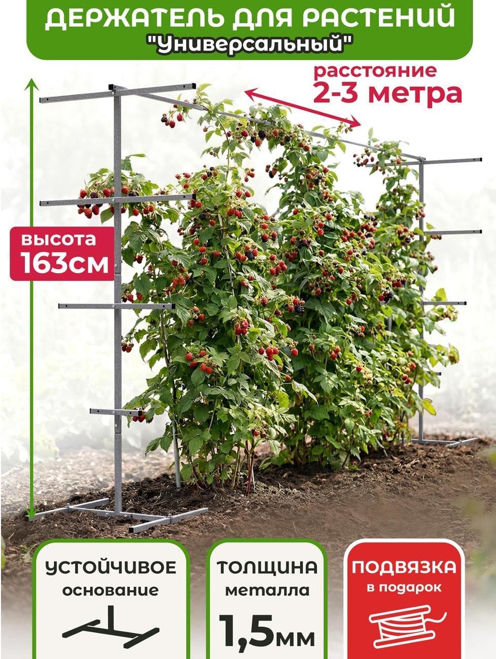 Шпалера для вьющихся растений садовая, универсальная опора для растений