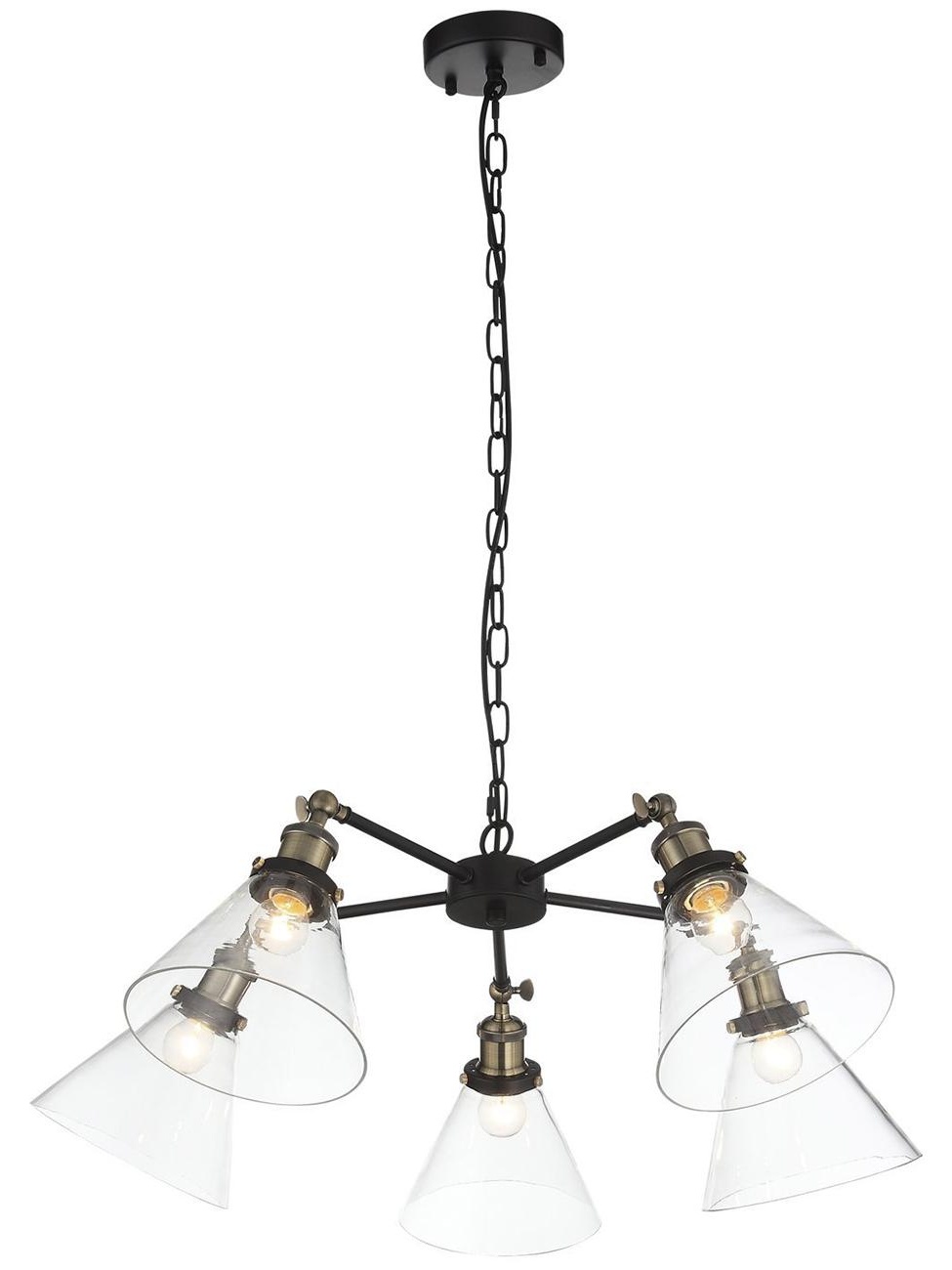 Люстра ST LUCE подвесная E27 5*60W (SL237.413.05)