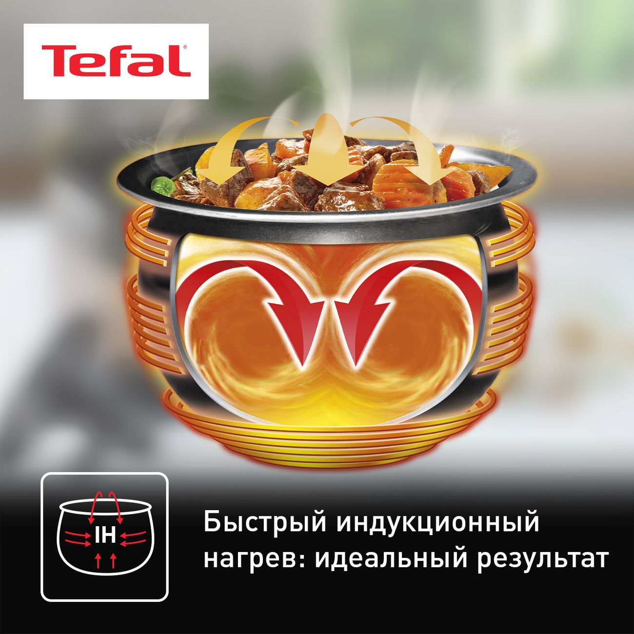 Мультиварка индукционная Tefal Effectual Pro Induction RK807D32