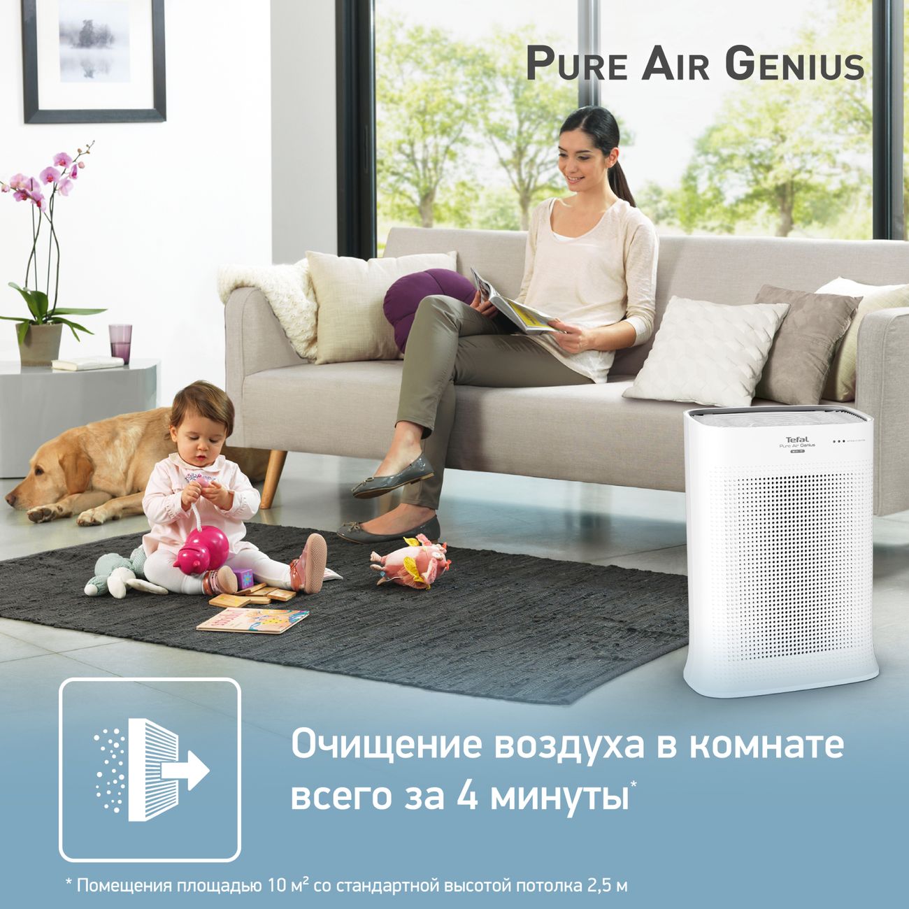 Купить Воздухоочиститель Tefal Pure Air Genius(PT3080F0) в каталоге  интернет магазина М.Видео по выгодной цене с доставкой, отзывы, фотографии  - Москва