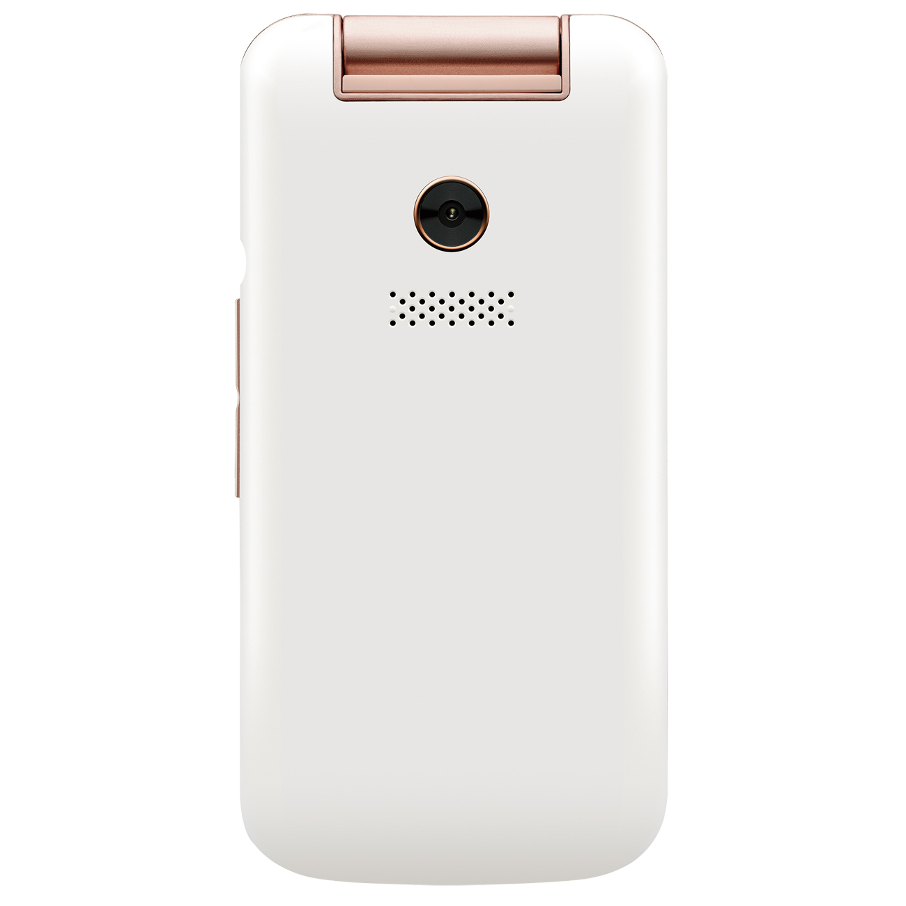 Купить Мобильный телефон Philips Xenium E255 White в каталоге интернет  магазина М.Видео по выгодной цене с доставкой, отзывы, фотографии - Москва