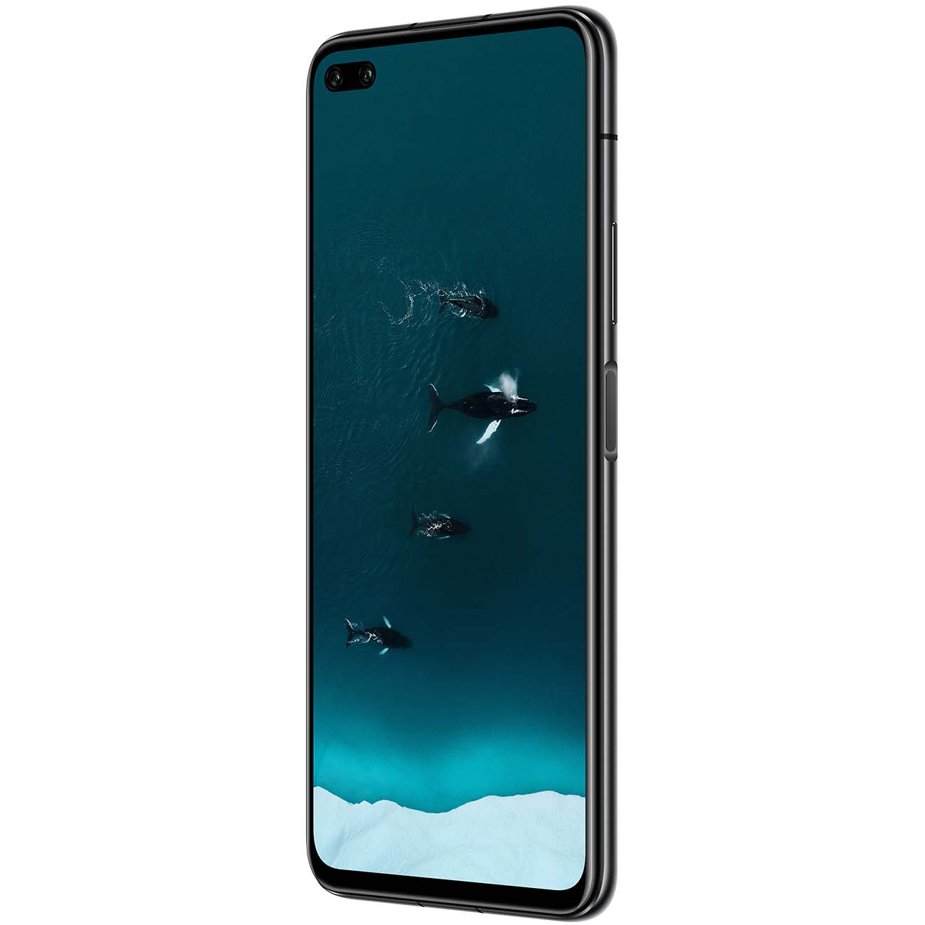 Купить Смартфон HONOR View 30 Pro 256Gb Midnight Black в каталоге интернет  магазина М.Видео по выгодной цене с доставкой, отзывы, фотографии - Москва