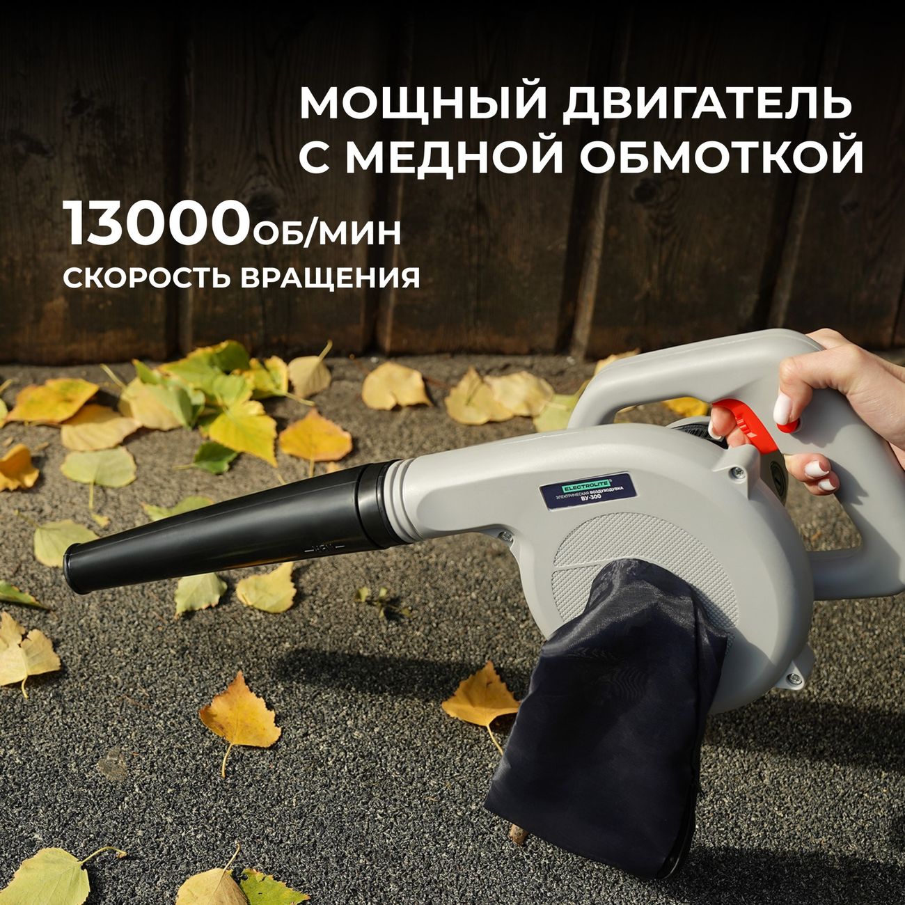 Купить Воздуходувка электрическая ELECTROLITE ВУ-300 в каталоге интернет  магазина М.Видео по выгодной цене с доставкой, отзывы, фотографии - Москва