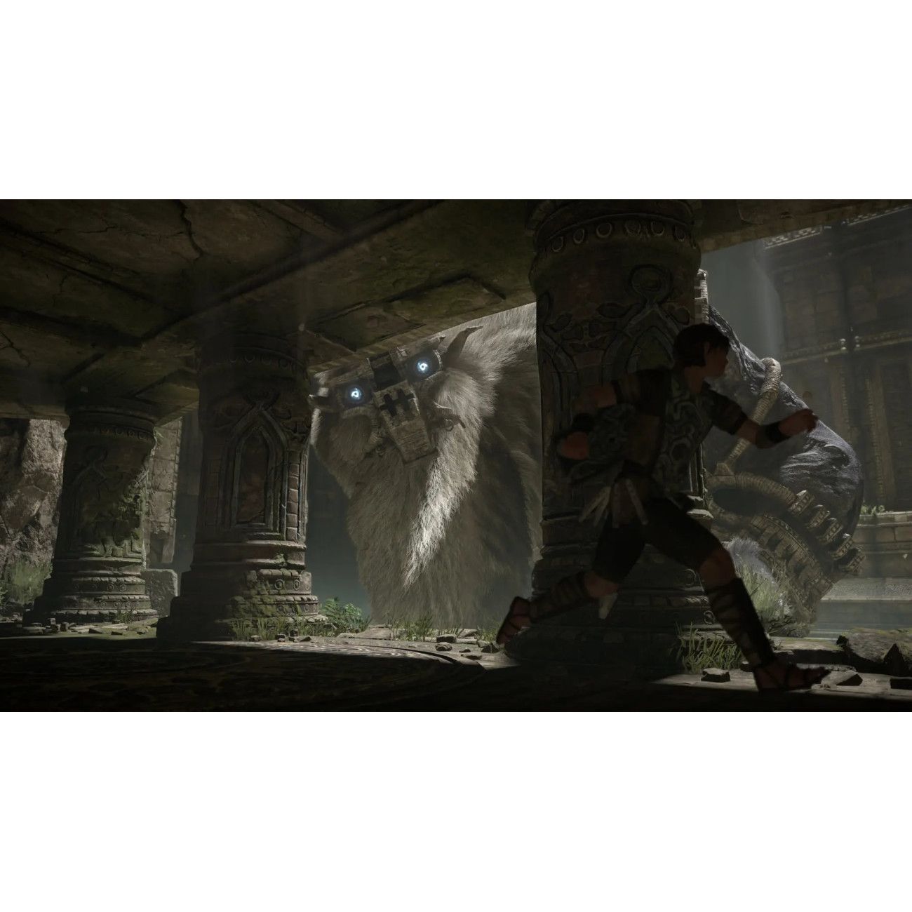 PS4 игра PlayStation Shadow of the Colossus