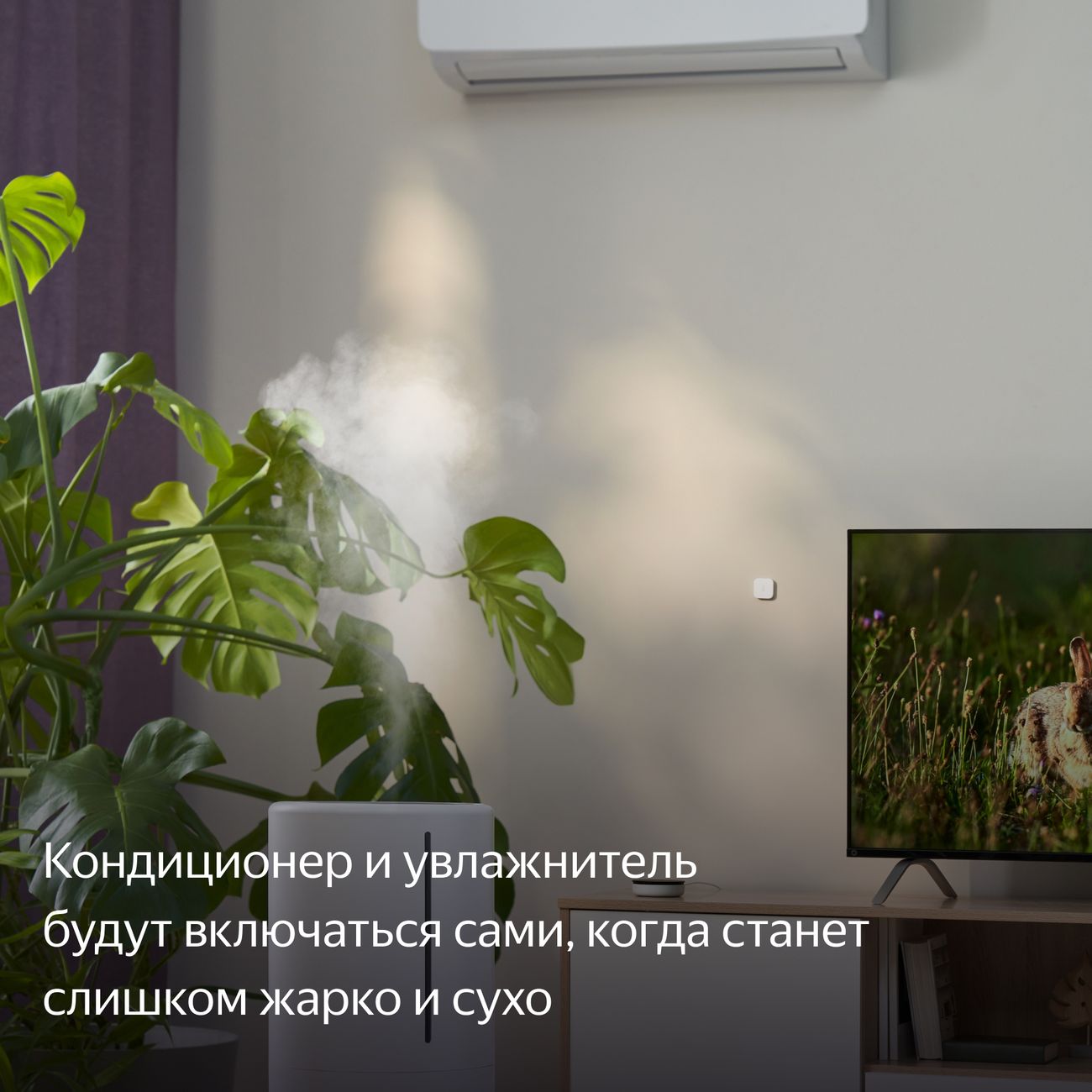 Датчик температуры и влажности Яндекс Zigbee YNDX-00523 фото 8