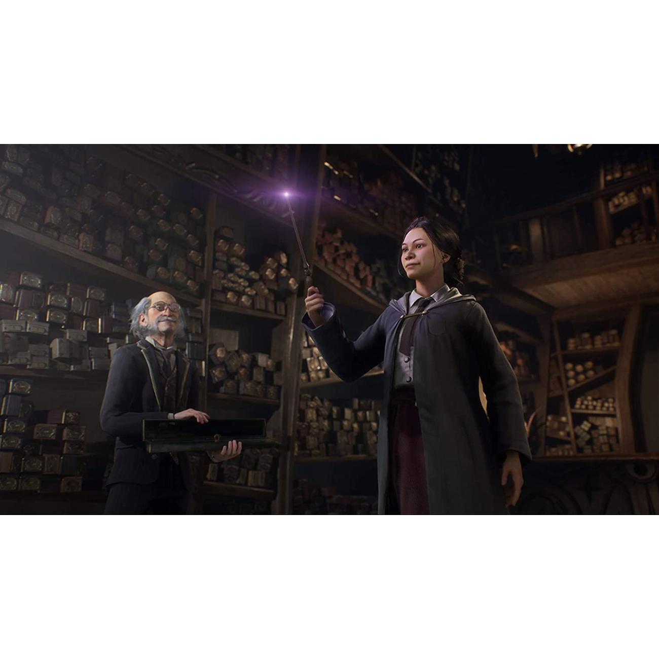 PS4 игра WB Games Hogwarts Legacy Стандартное издание