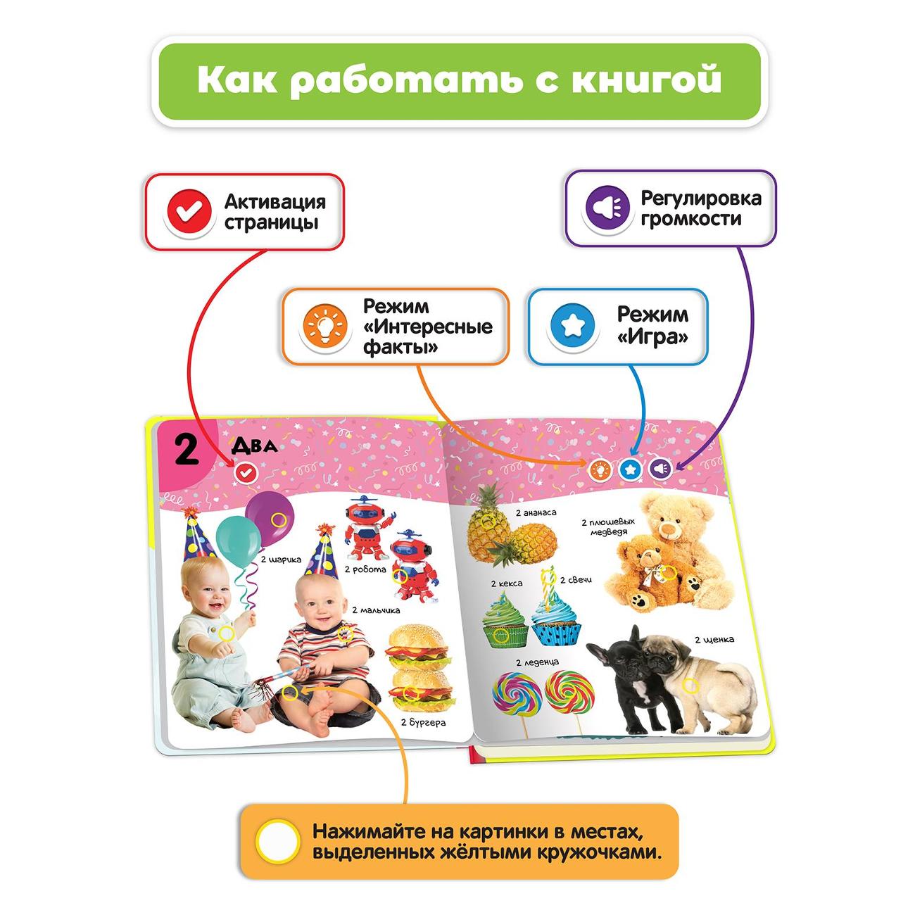 Нажималка для детей. Berttoys книга нажималка. Нажималка для детей. Berttoys книга нажималка. Berttoys книга нажималка.