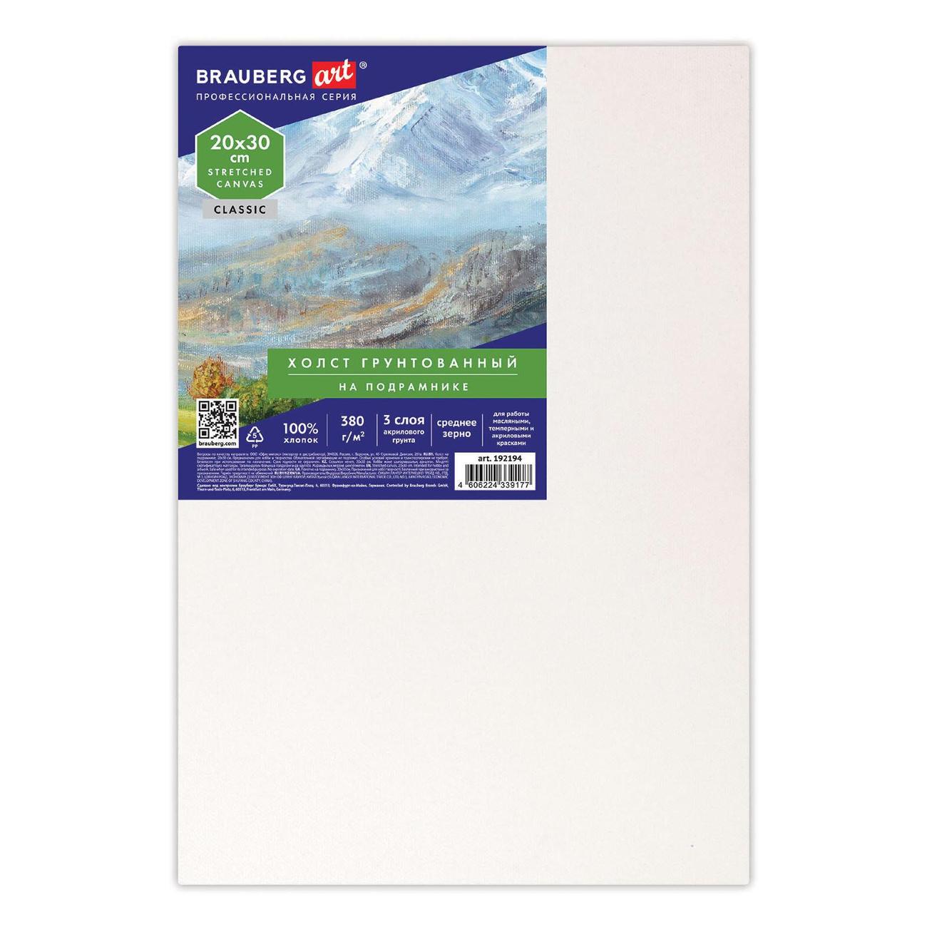 Изображение товара Холст Brauberg 192194 20х30 см