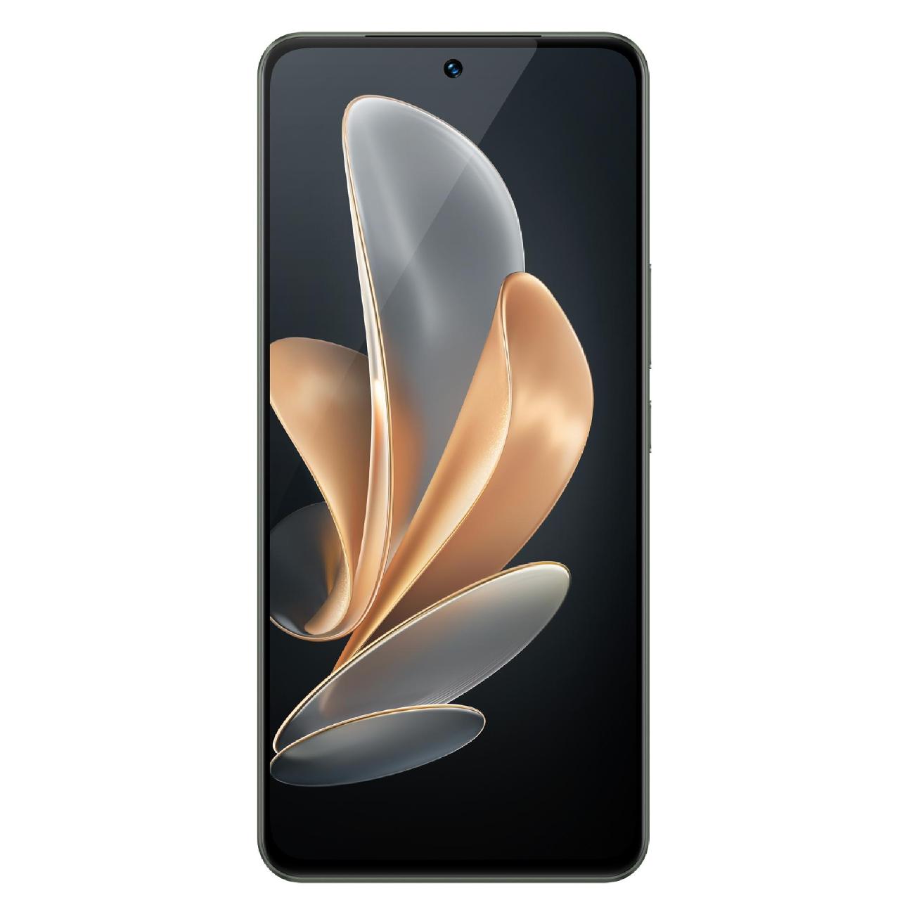 Смартфон vivo V29e 8/256GB Forest Black (V2317)