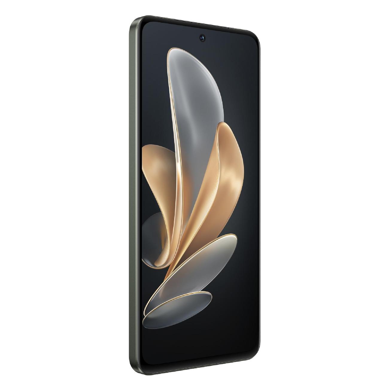 Смартфон vivo V29e 8/256GB Forest Black (V2317)