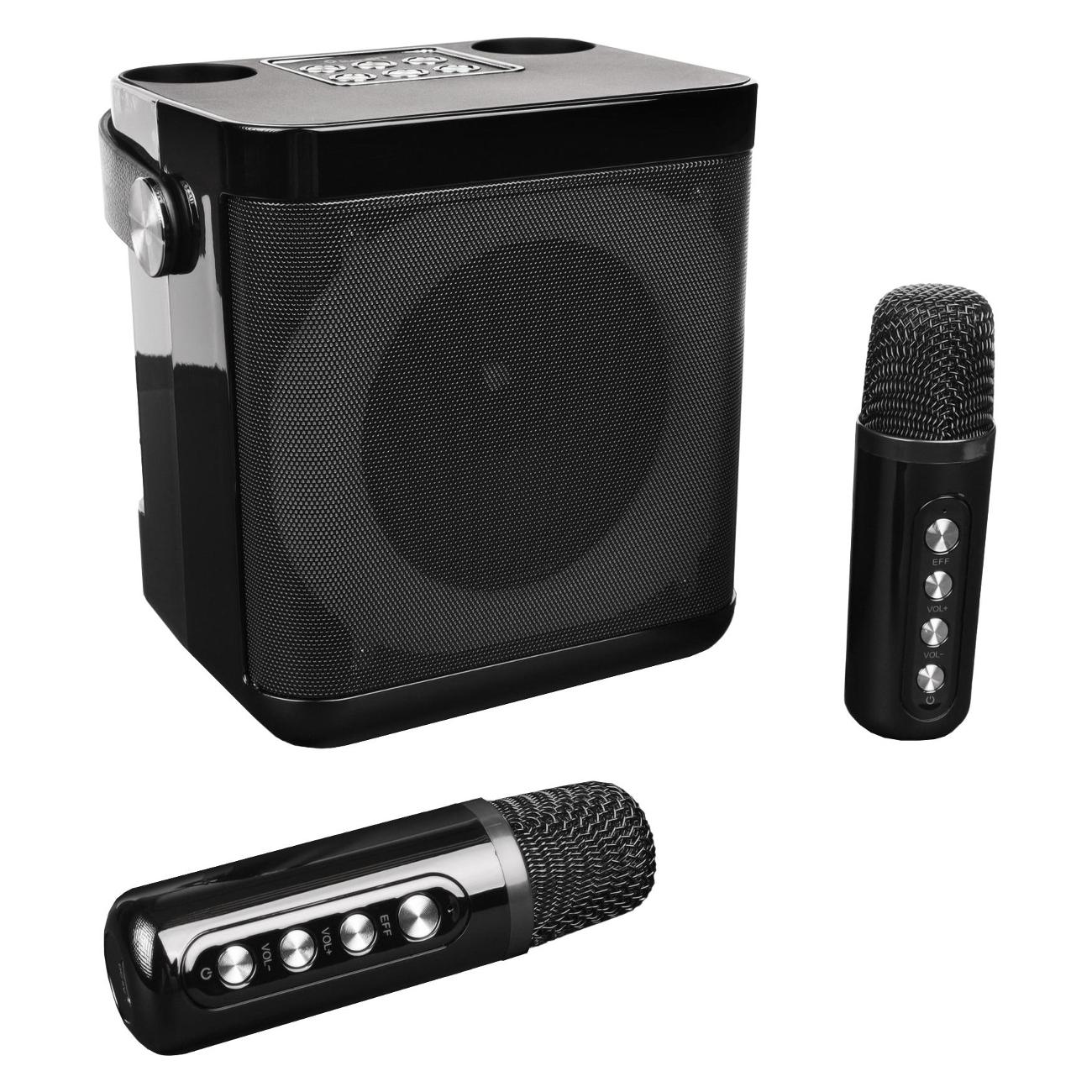 Mitashi Mk1012 Mitashi Karaoke Mike With Inbuilt Speaker Online