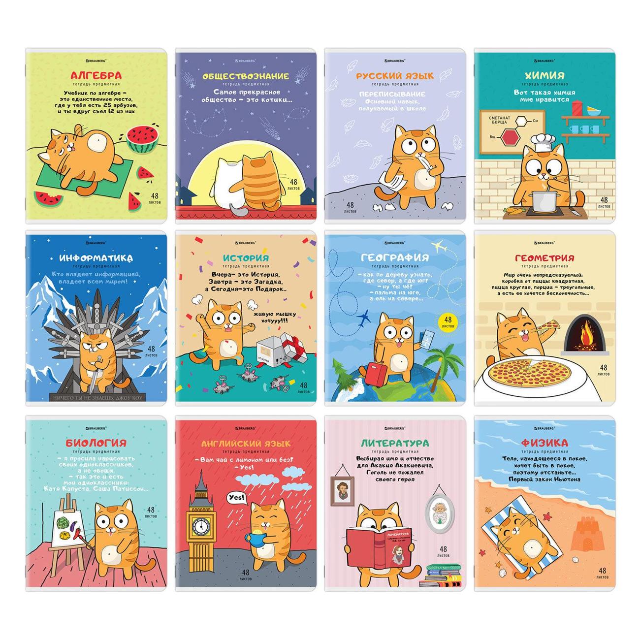 Изображение товара Тетрадь предметная Brauberg 12шт КОТ 404609