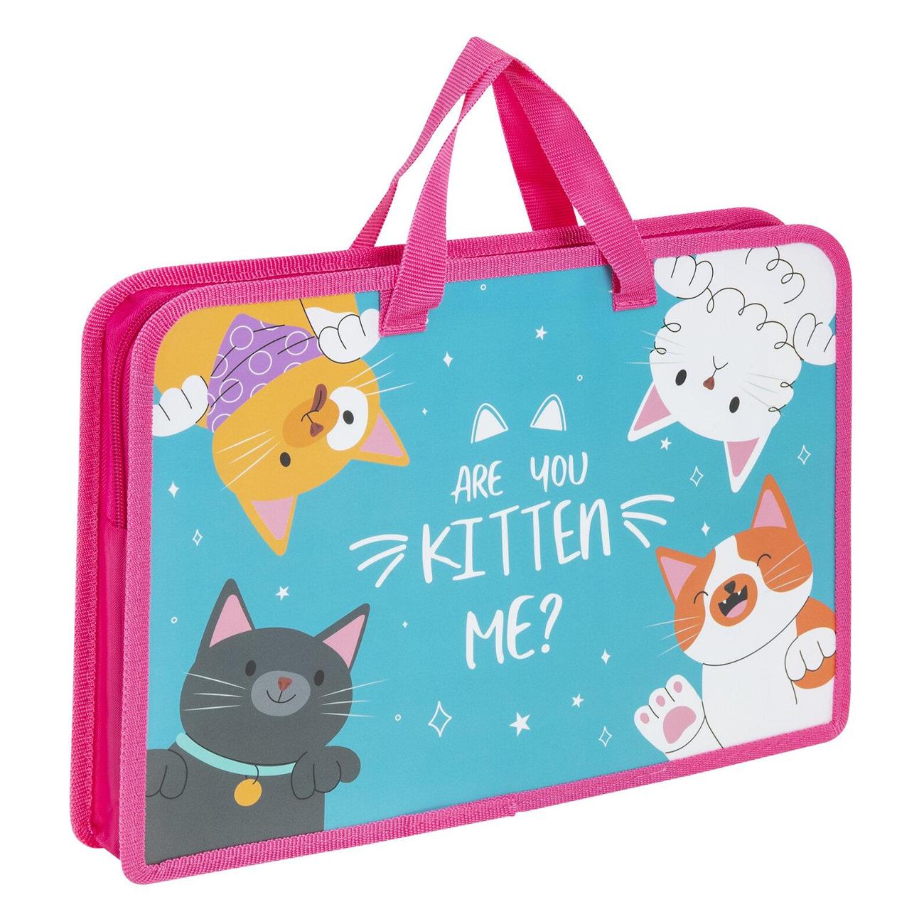 Изображение товара Папка для труда Юнландия А4 органайзер с ручками "Cat Gang" 272148