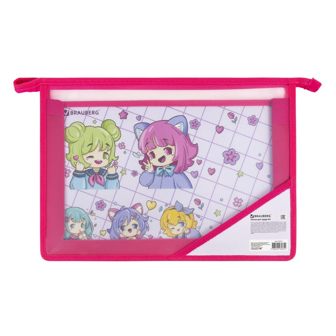 Изображение товара Папка для труда Brauberg А4, 2 отделения, органайзер 272214