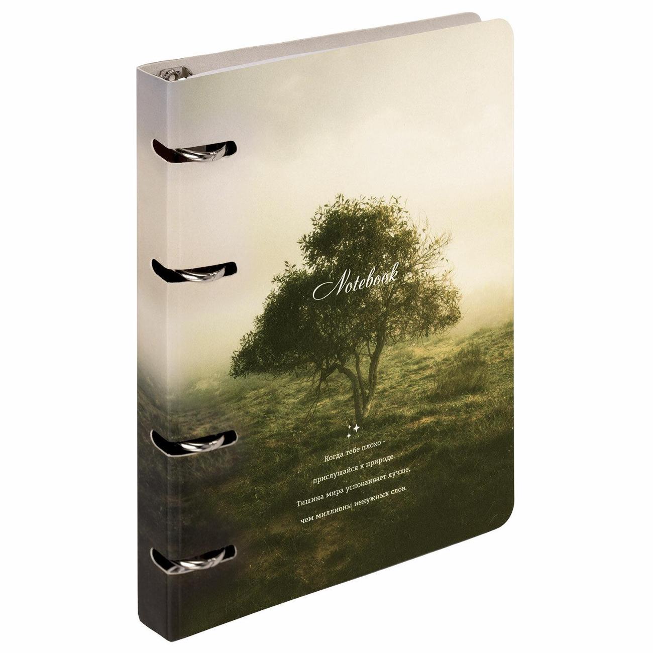 Изображение товара Тетрадь на кольцах 120 листов Brauberg 120л Природа 404728