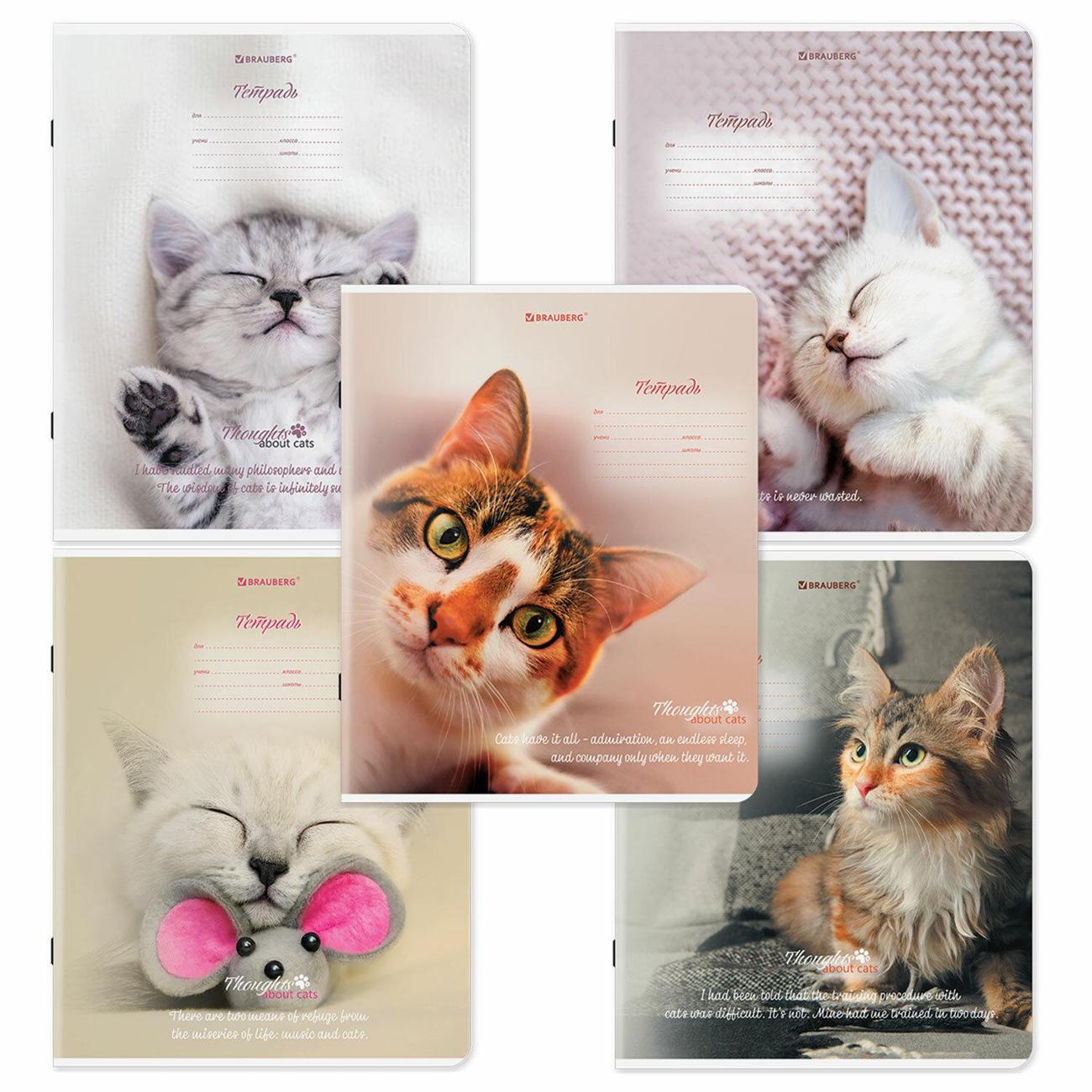 Изображение товара Тетрадь Brauberg 18л. 10шт, Котики 106757