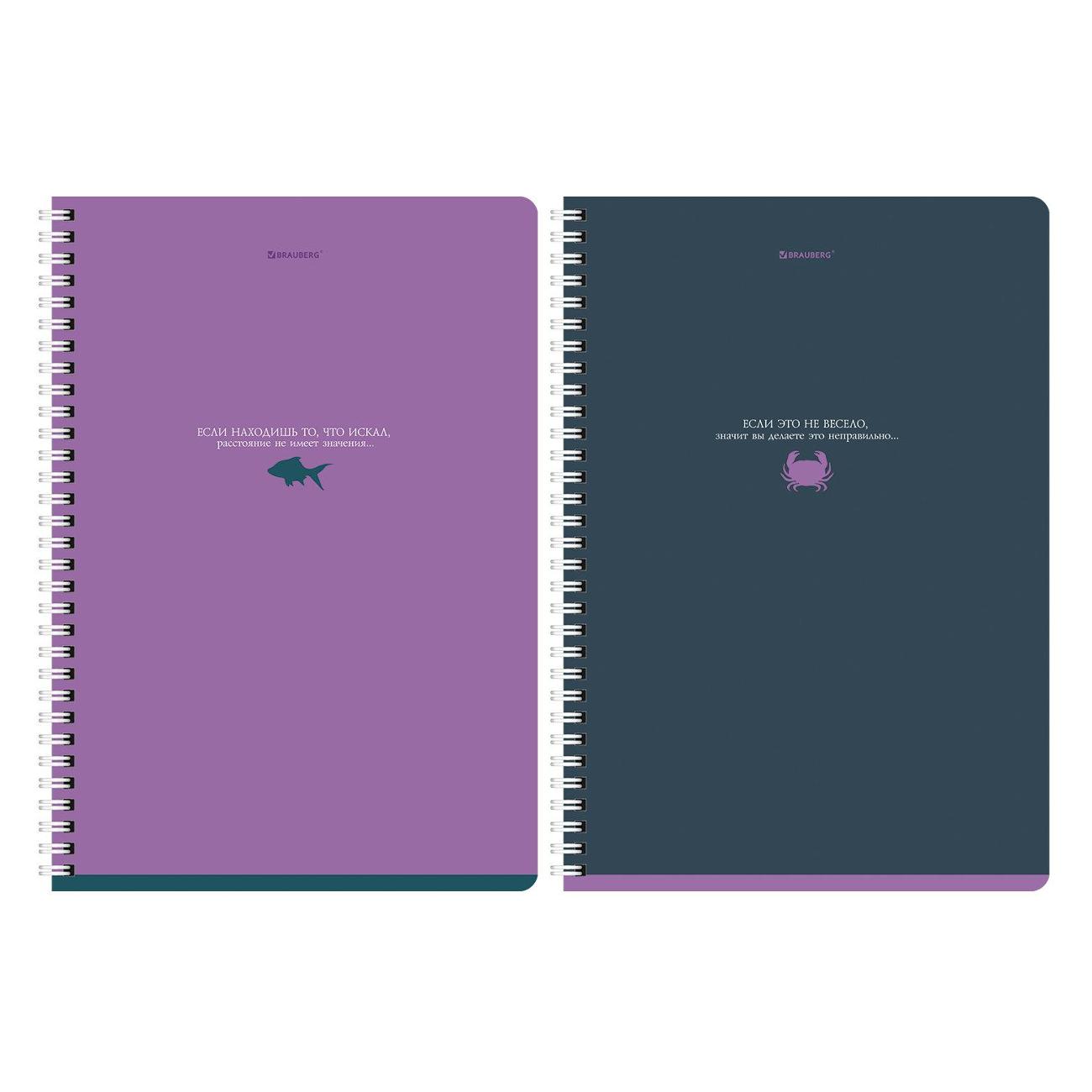 Изображение товара Тетрадь Brauberg ДЭК 96л А4 2шт Моноколор 404647