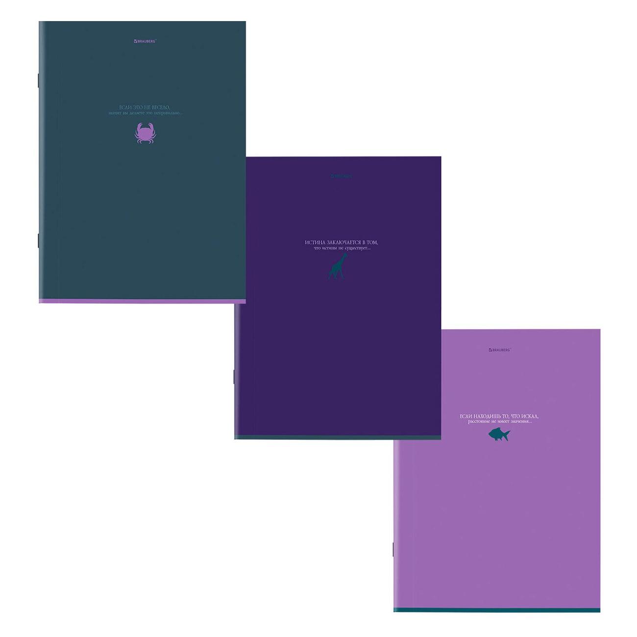 Изображение товара Тетрадь Brauberg ДЭК А4 96л 3шт Моноколор 404869