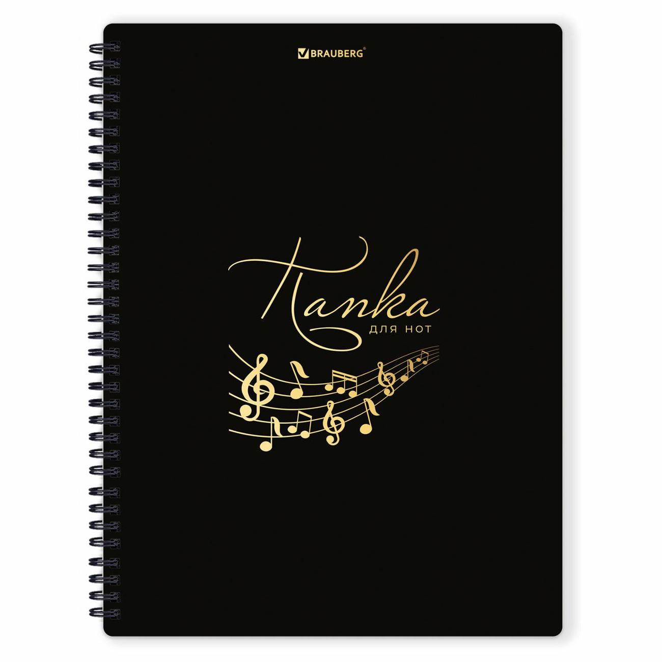 Изображение товара Папка для тетрадей Brauberg 404643