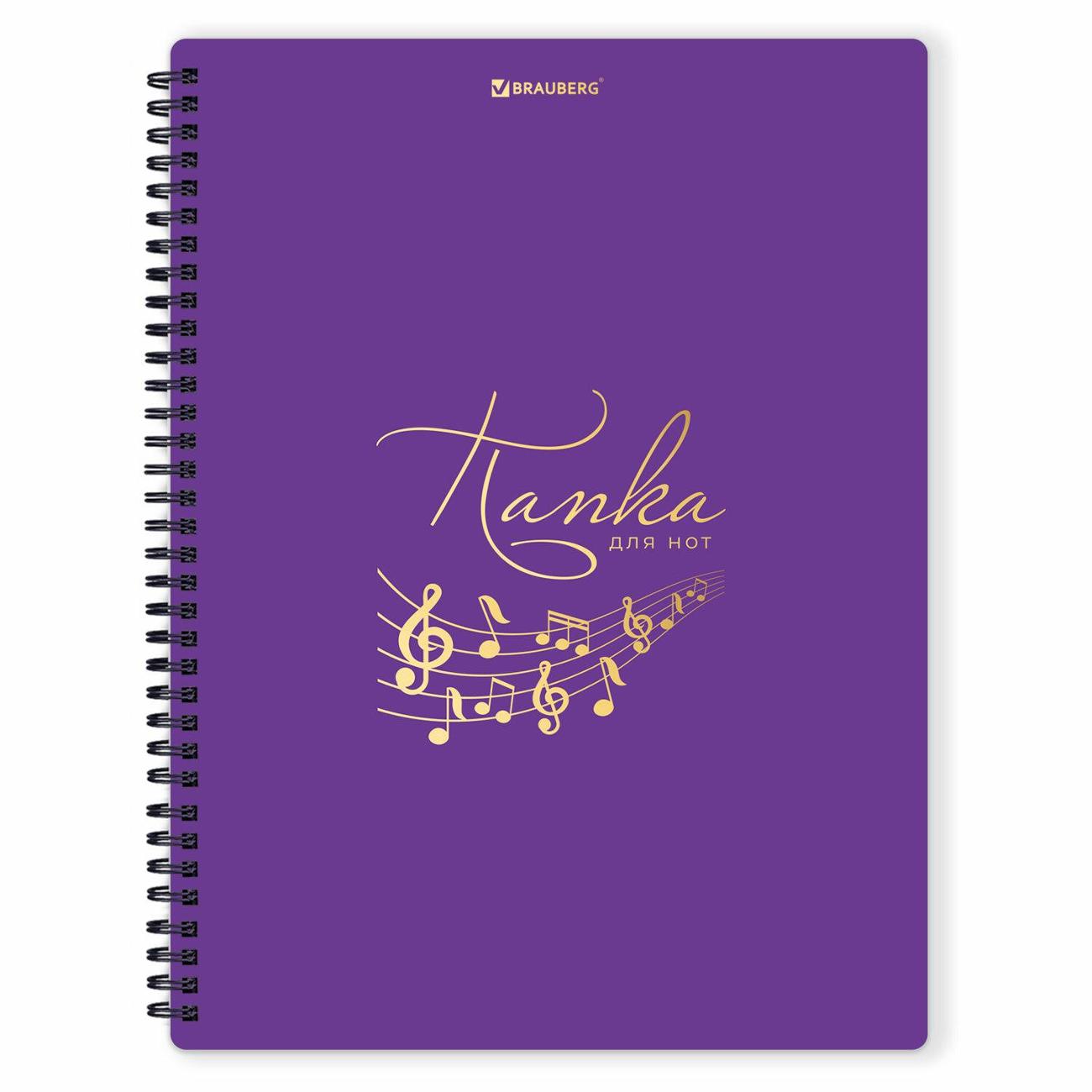 Изображение товара Папка для тетрадей Brauberg 404645