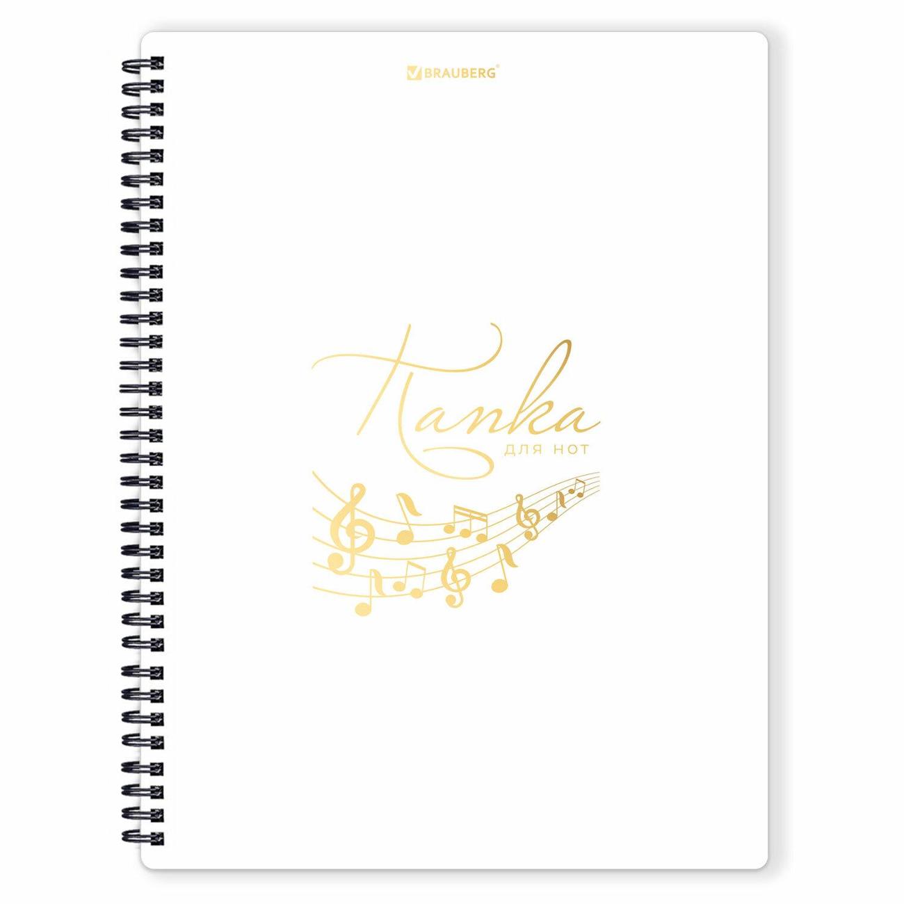 Изображение товара Папка А4 для документов Brauberg 404644