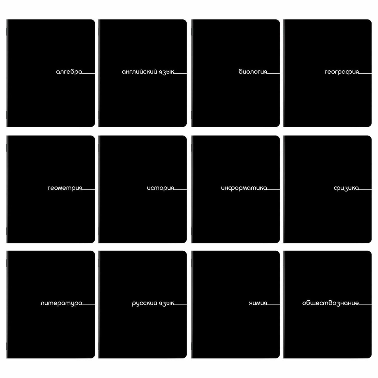 Изображение товара Тетрадь предметная Brauberg 12шт 405164