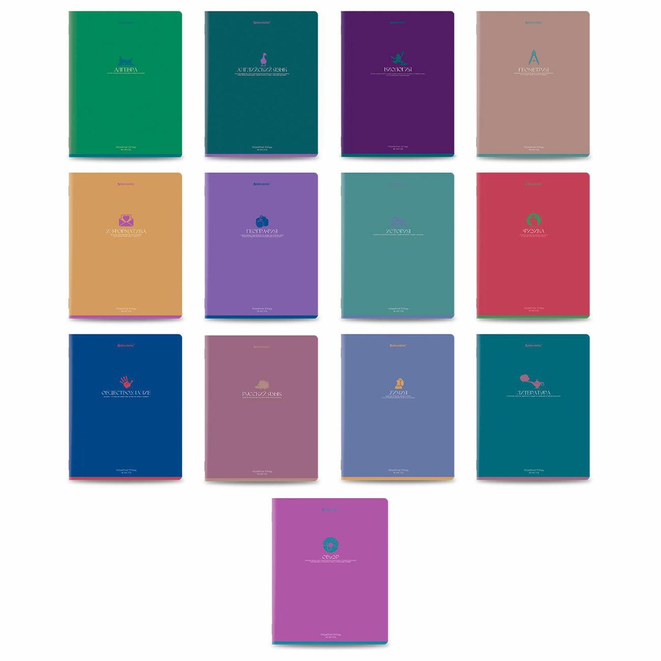 Изображение товара Тетрадь предметная Brauberg 405175