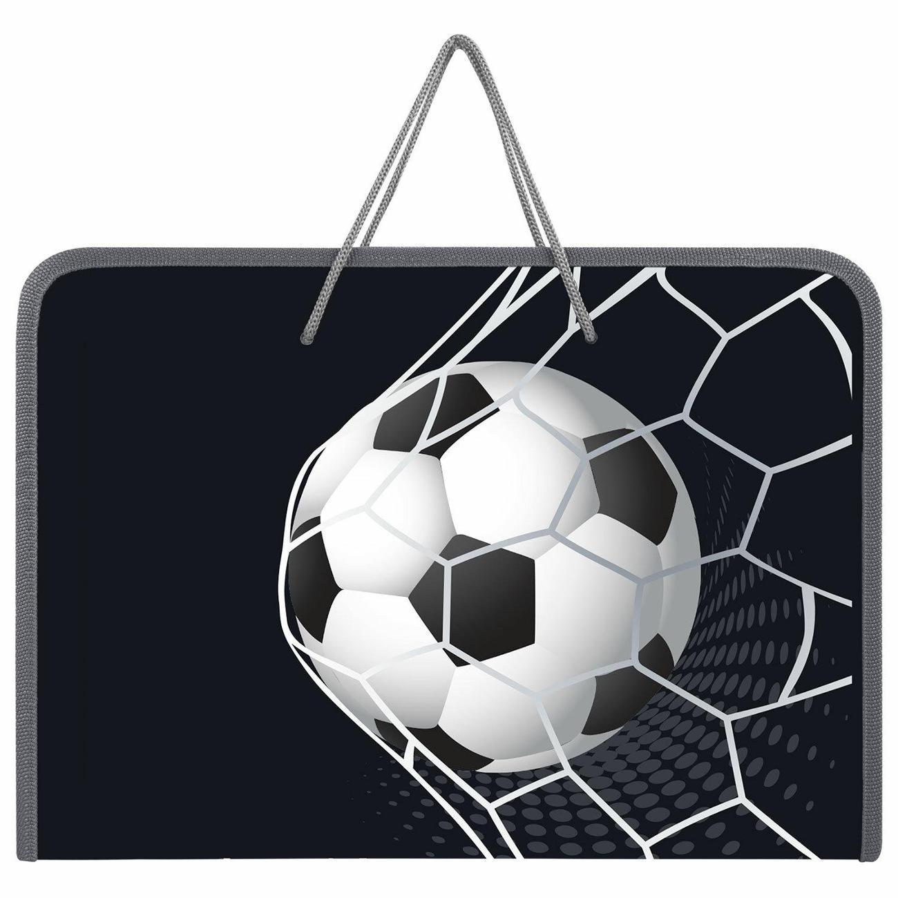 Изображение товара Папка Пифагор С ручками А4 мяч в сетке