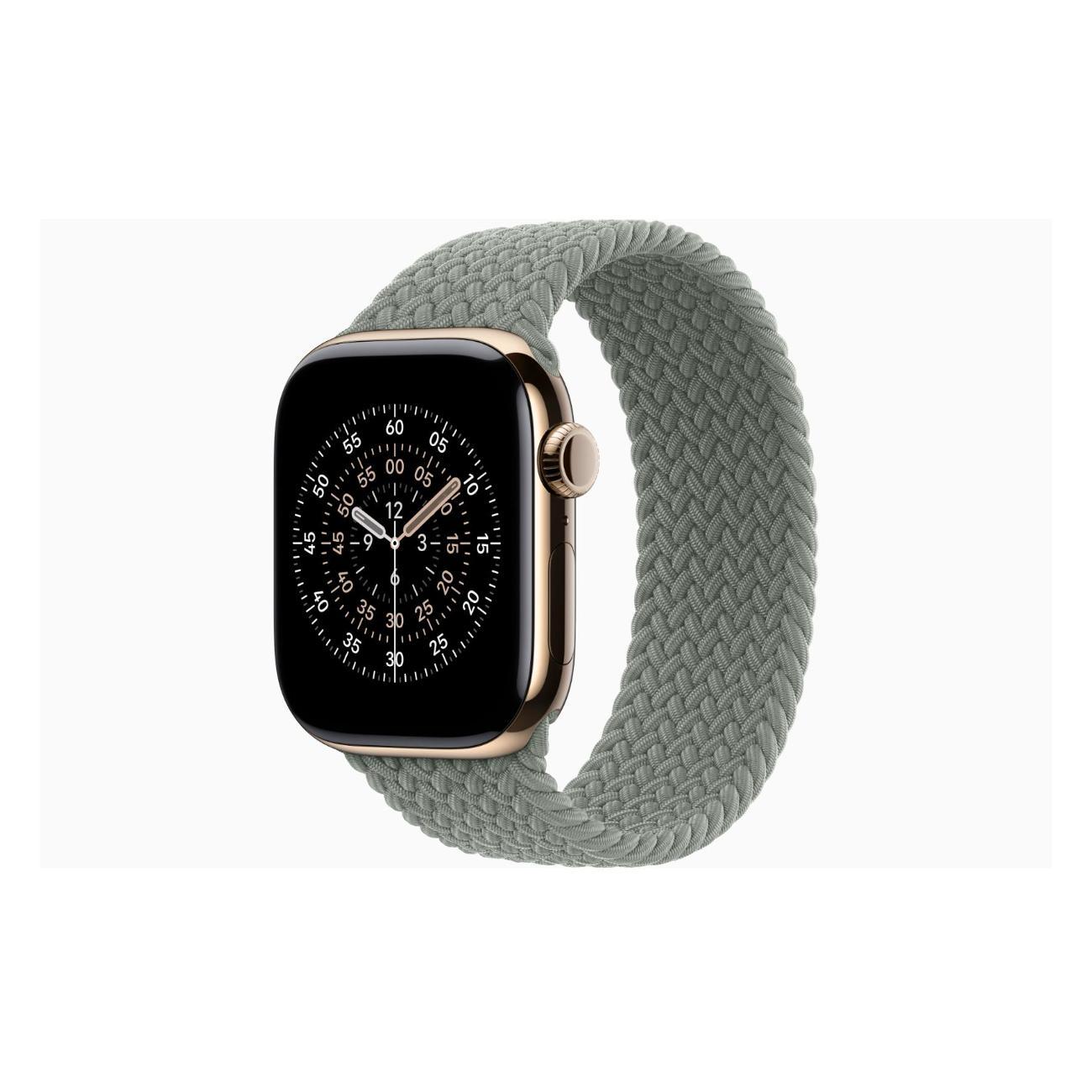 Apple Watch Series 11 Titanium Gold 42mm GPS Textile Braided Solo Loop Green серый