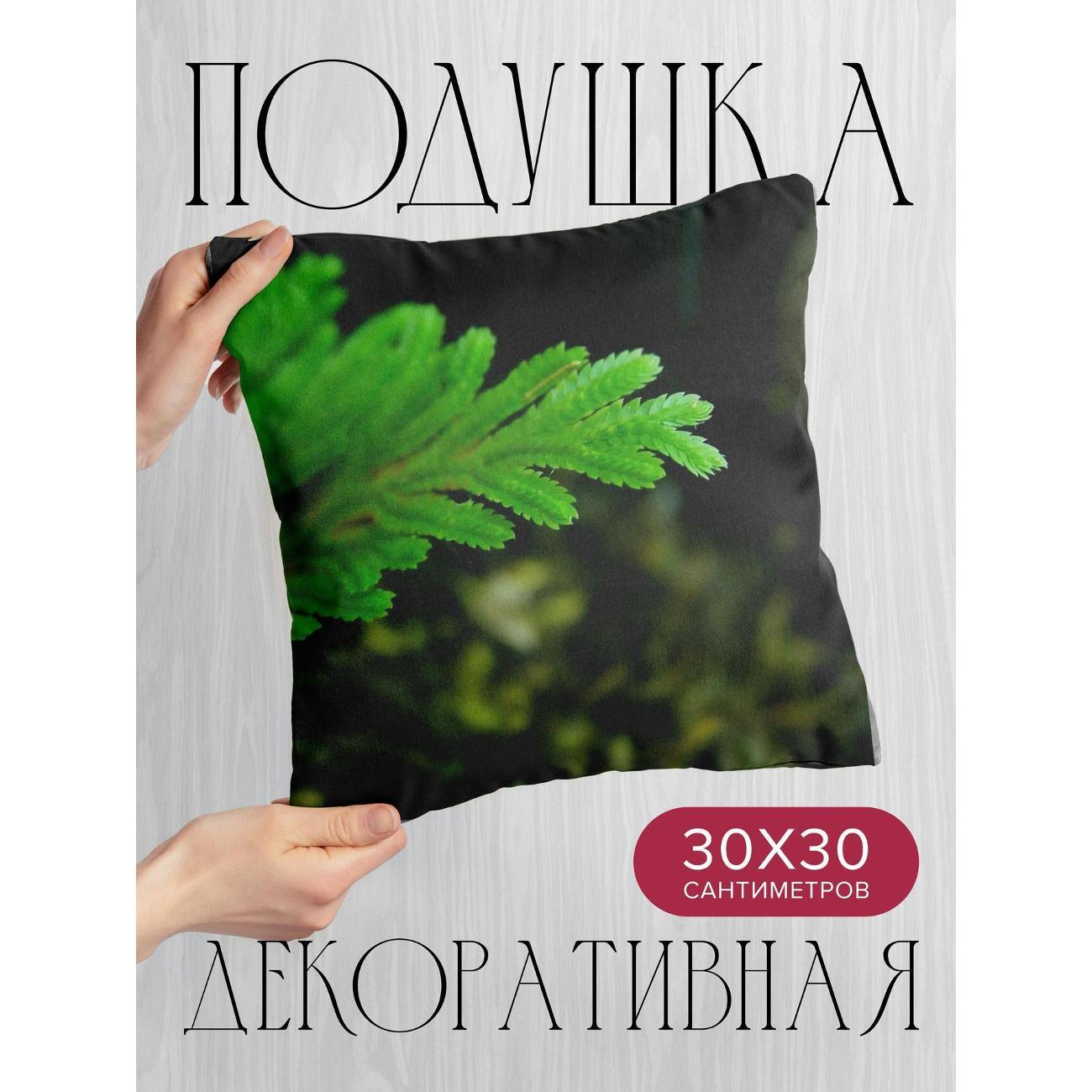 Изображение товара Подушка 365home 30x30см / Макро / лист / камни (WC32135)