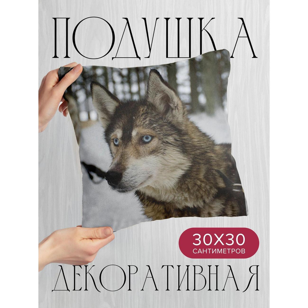 Изображение товара Подушка 365home 30x30см / Животные / хаска / морда (WC116183)