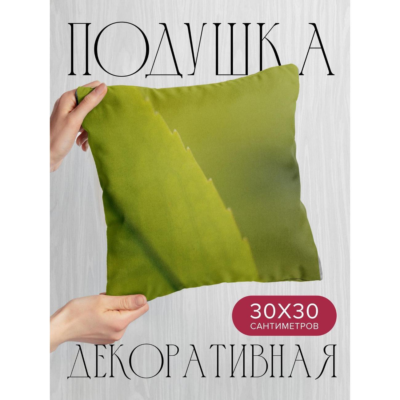 Изображение товара Подушка 365home 30x30см / Макро / лист / жилки (WC188123)