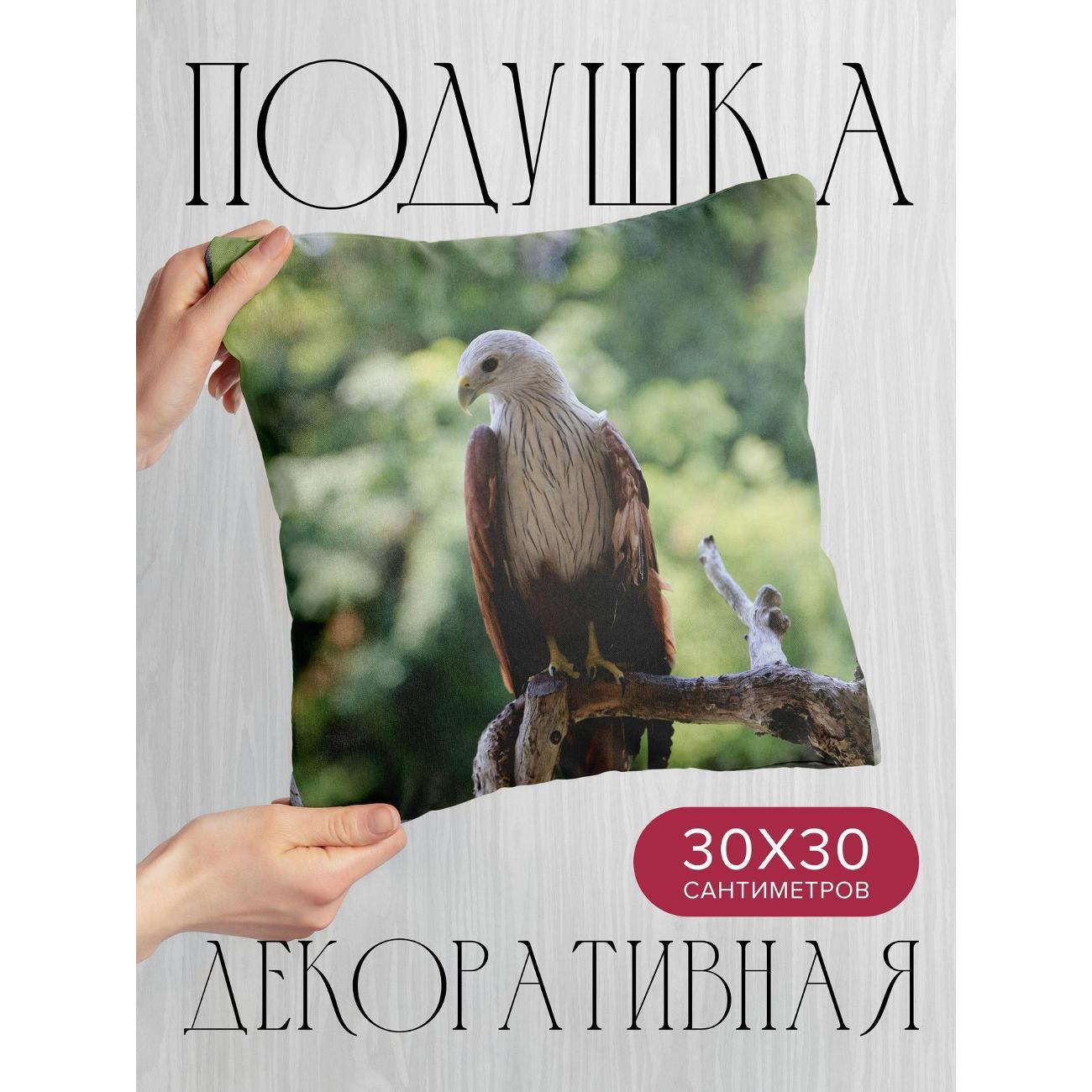 Изображение товара Подушка 365home 30x30см / Животные / ястреб / птица (WC208325)
