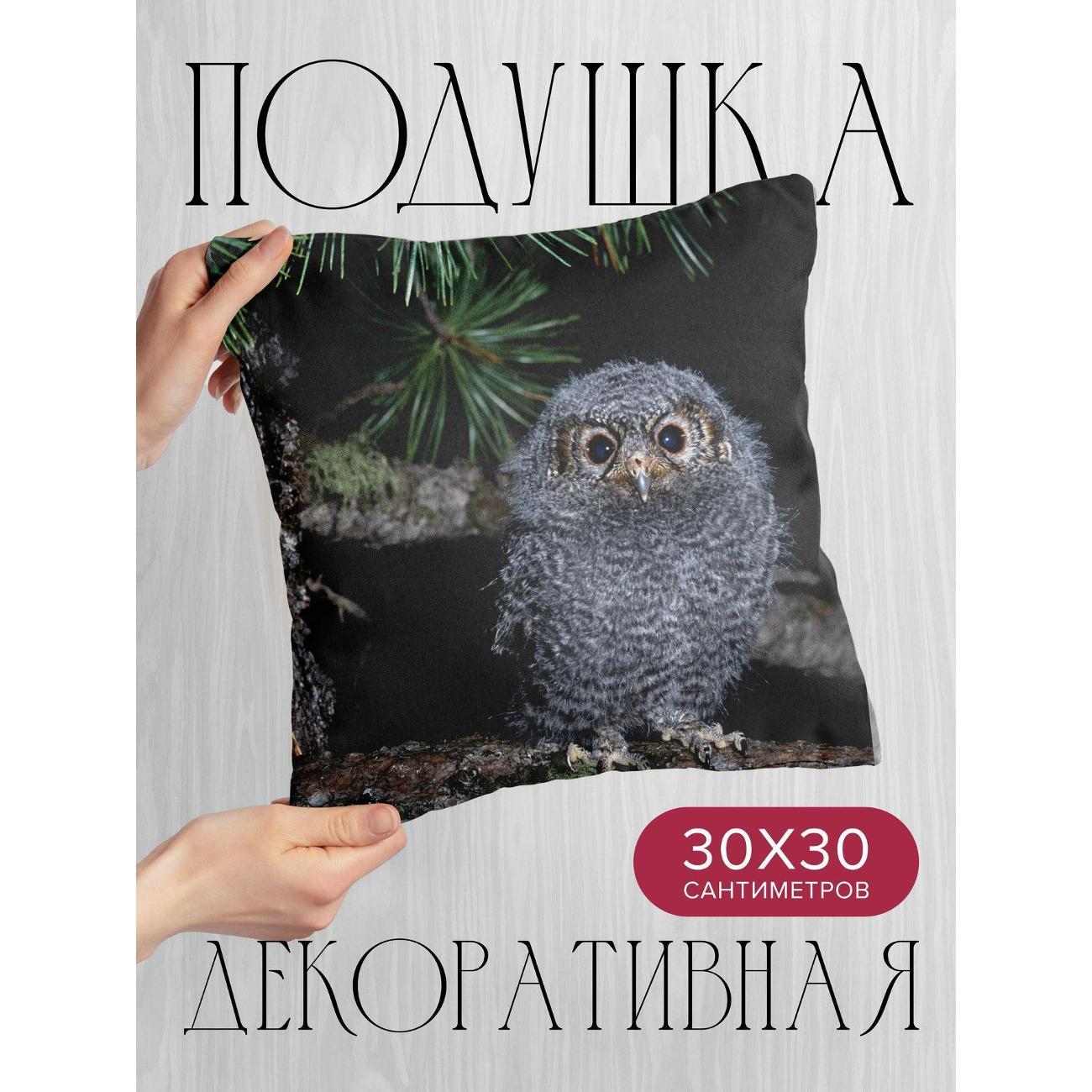 Изображение товара Подушка 365home 30x30см / Животные / сова / ветка (WC51623)