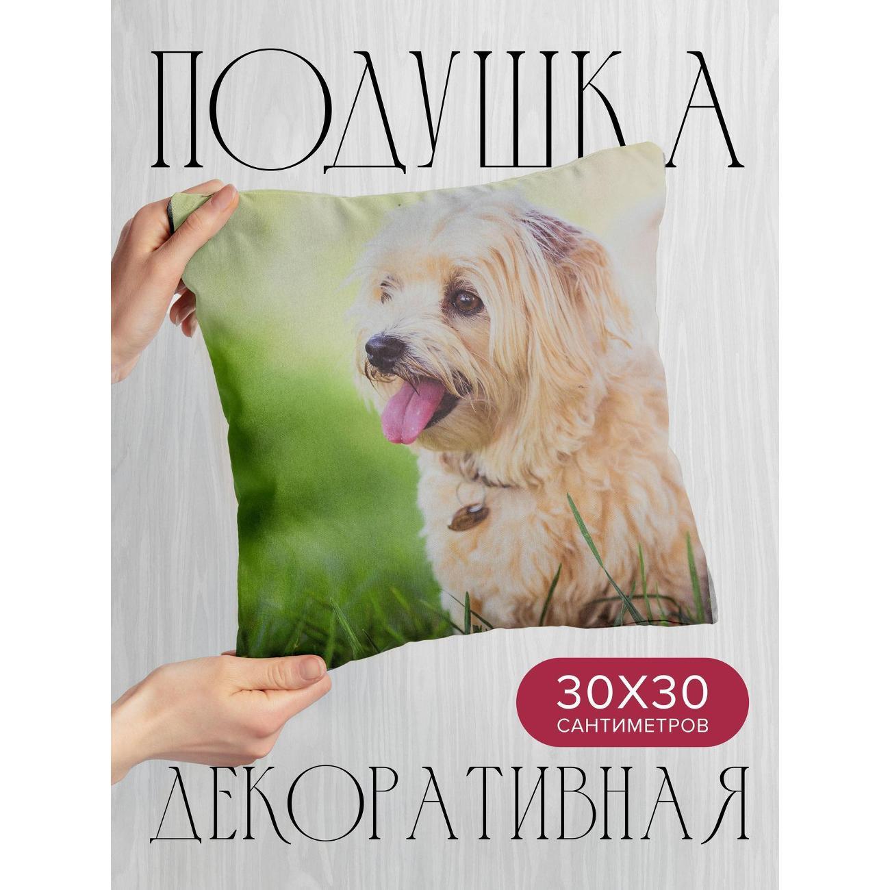 Изображение товара Подушка 365home 30x30см / Животные / собака / пушистый (WC113757)