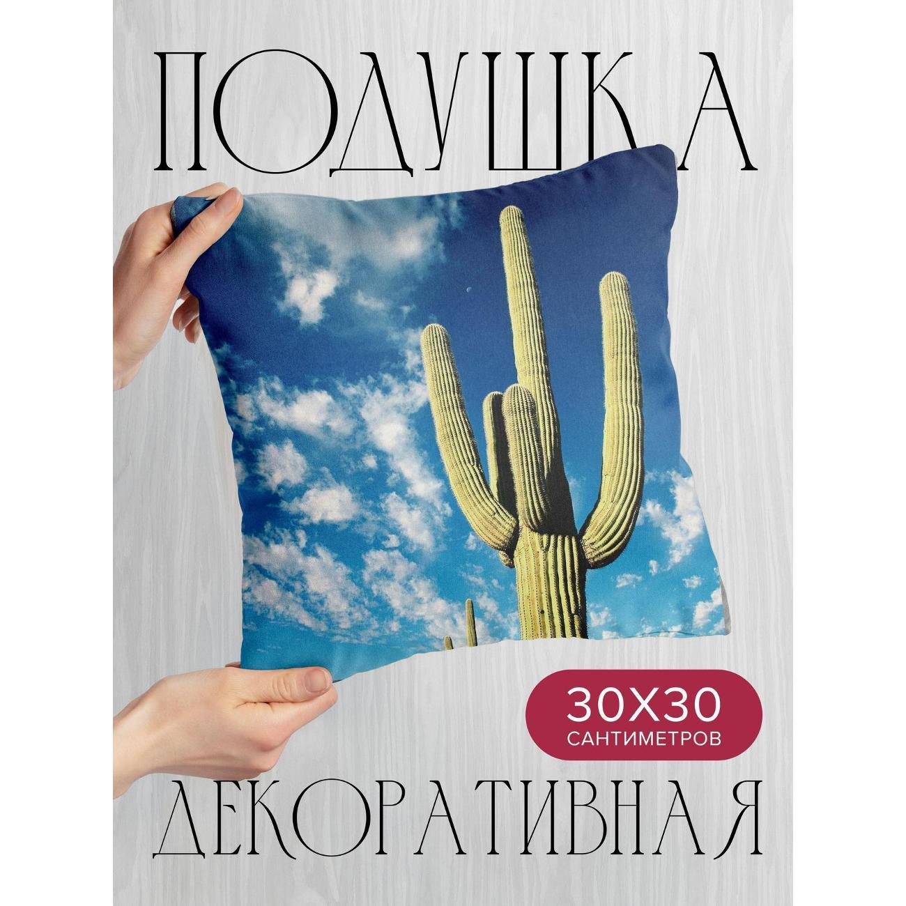 Изображение товара Подушка 365home 30x30см / Природа / кактус / колючки (WC10194)