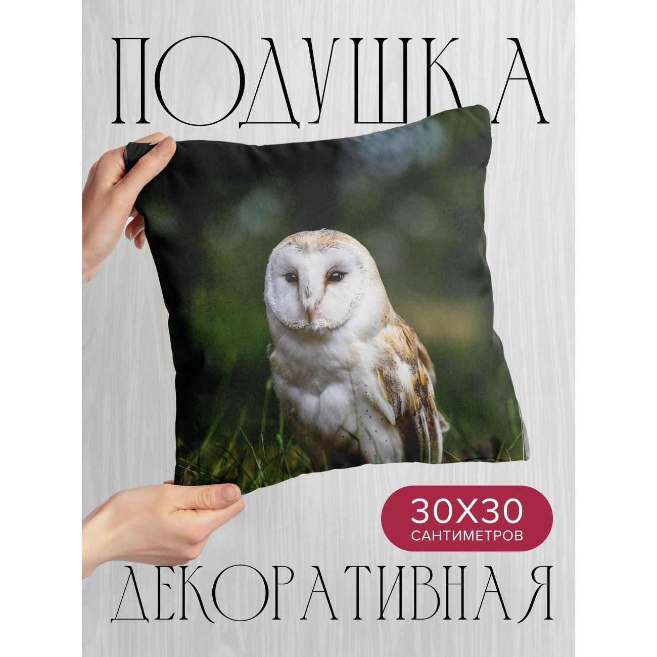 Изображение товара Подушка 365home 30x30см / Животные / сова / птица (WC141391)