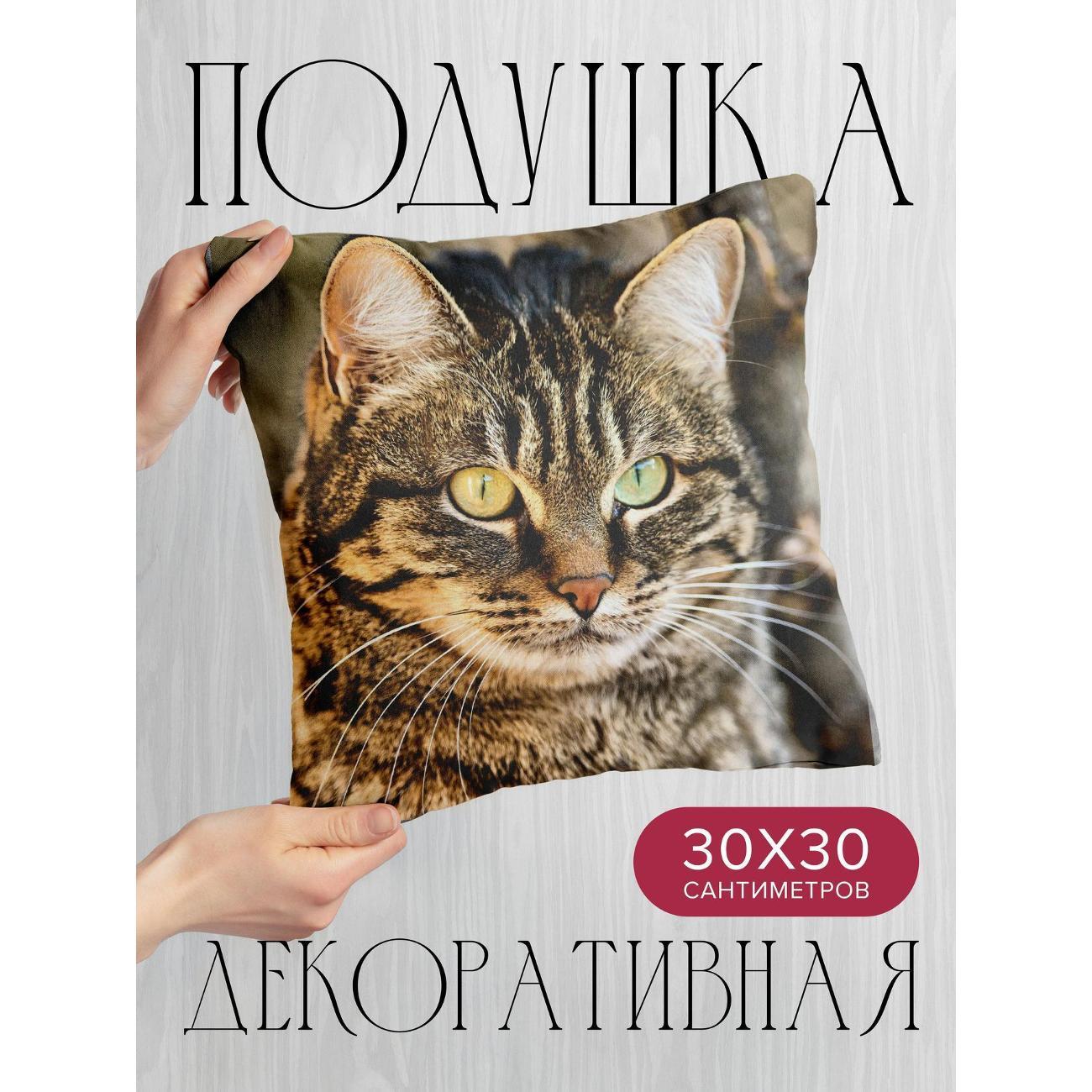 Изображение товара Подушка 365home 30x30см / Животные / кот / морда (WC56632)