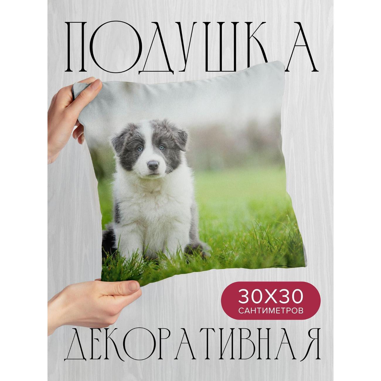 Изображение товара Подушка 365home 30x30см / Животные / бордер-колли (WC109875)