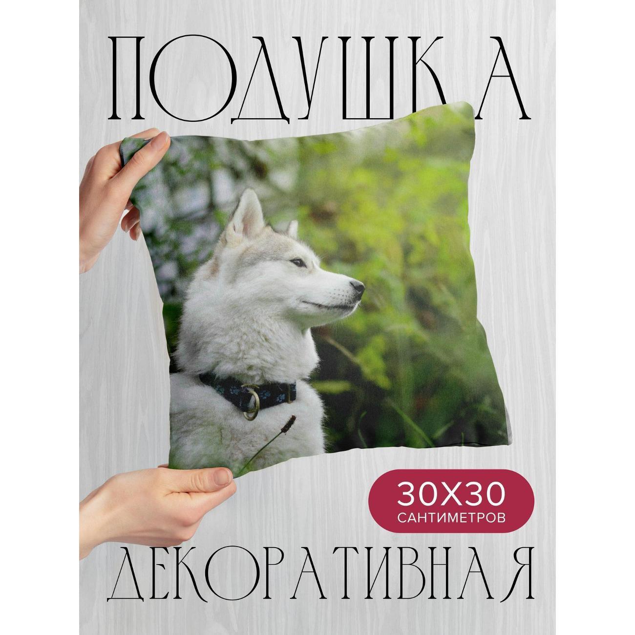 Изображение товара Подушка 365home 30x30см / Животные / собака / морда (WC105732)