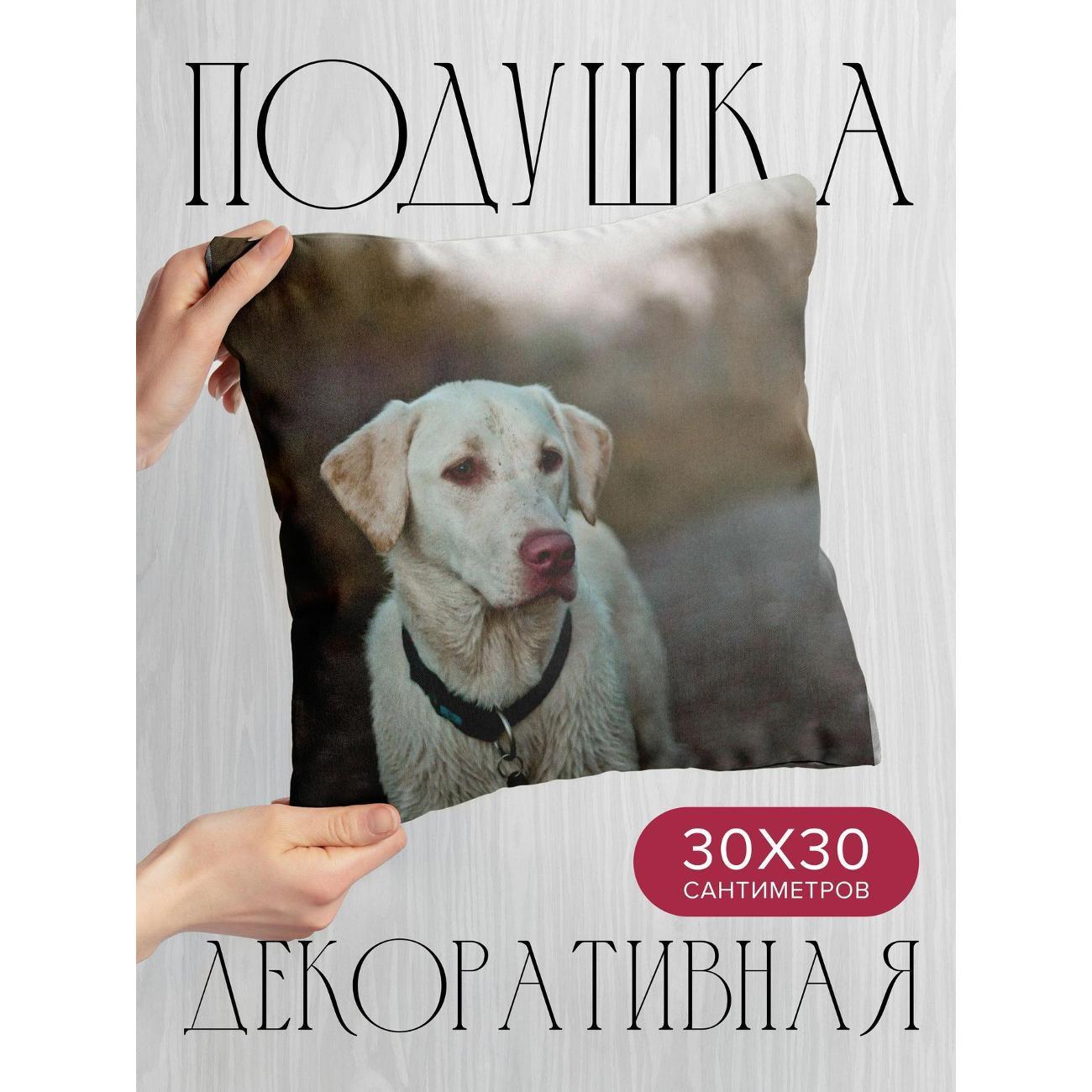Изображение товара Подушка 365home 30x30см / Животные / собака / взгляд (WC73152)