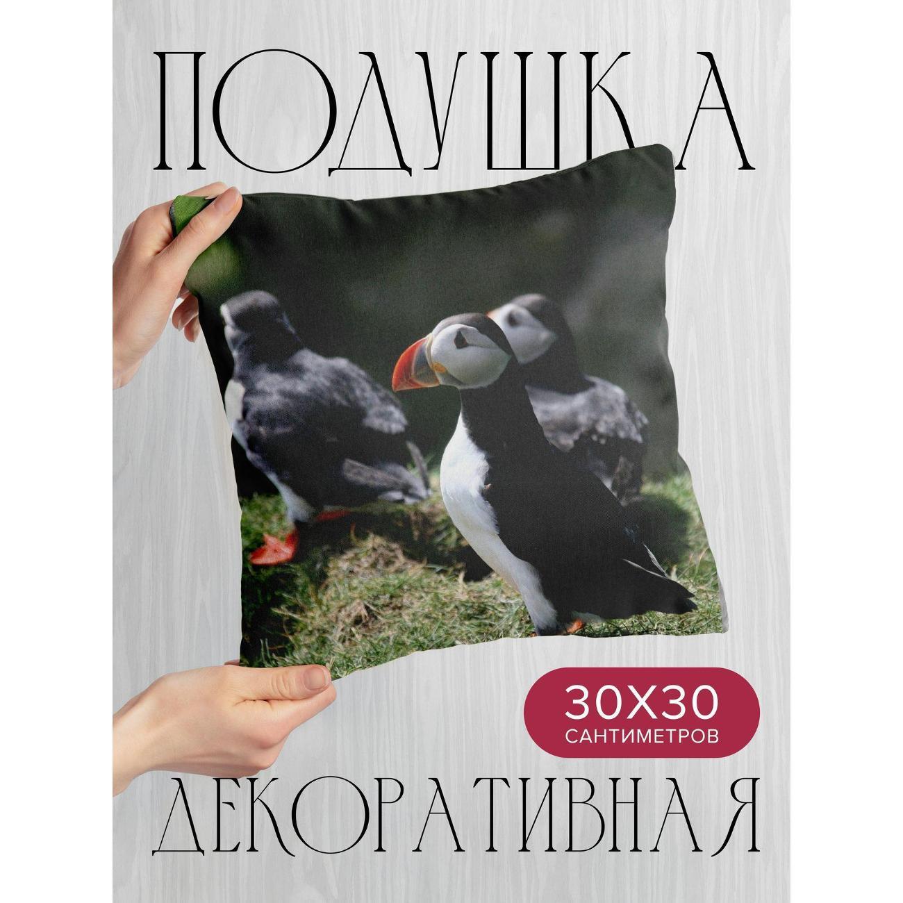 Изображение товара Подушка 365home 30x30см / Животные / тупик / птицы (WC71725)
