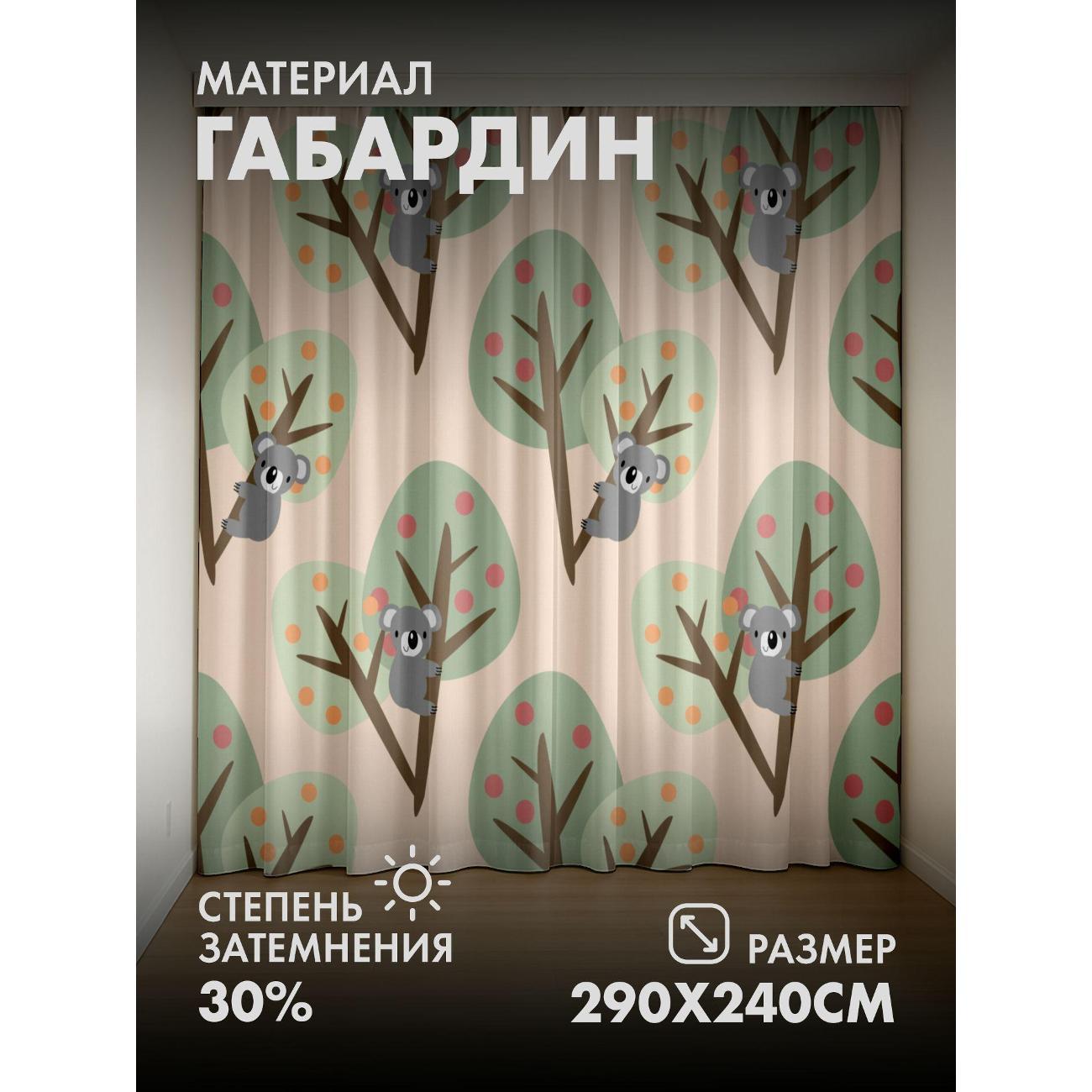 Изображение товара Фотошторы 365home Коалы сидят на ветках деревьев (FP2298481)