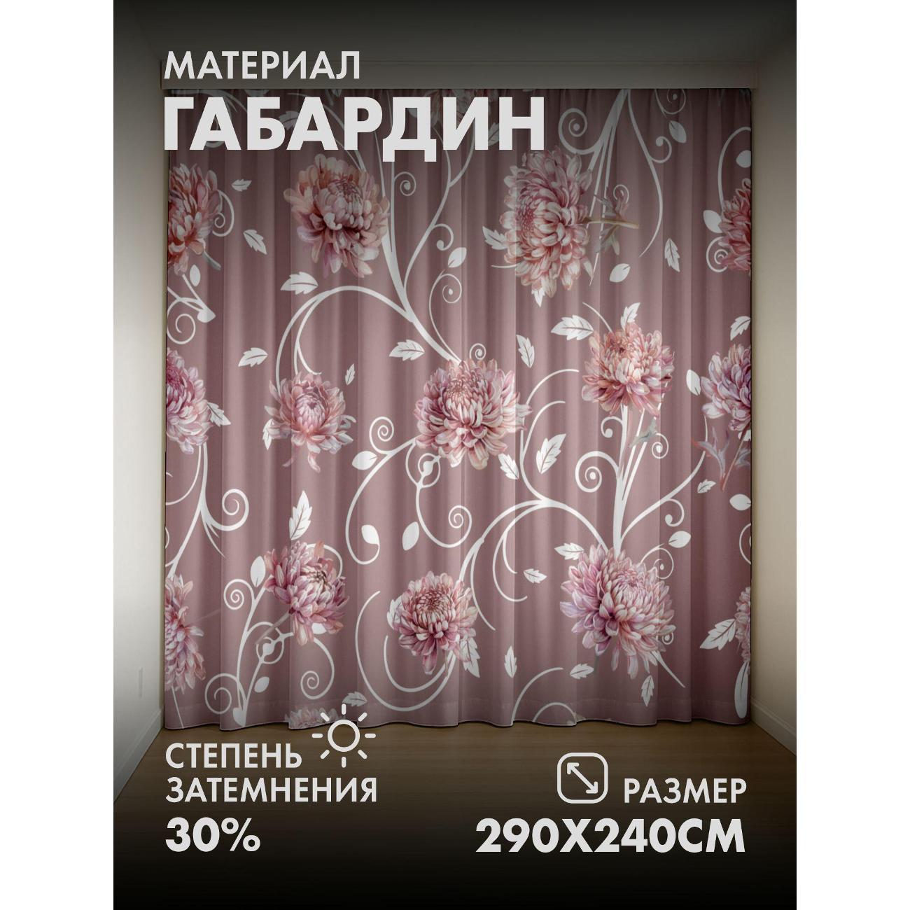 Изображение товара Фотошторы 365home Розовые хризантемы с белыми (290FP_240_FP41285407