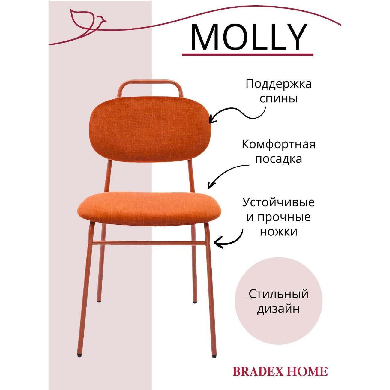 Изображение товара Стул обеденный Bradex FR 1066