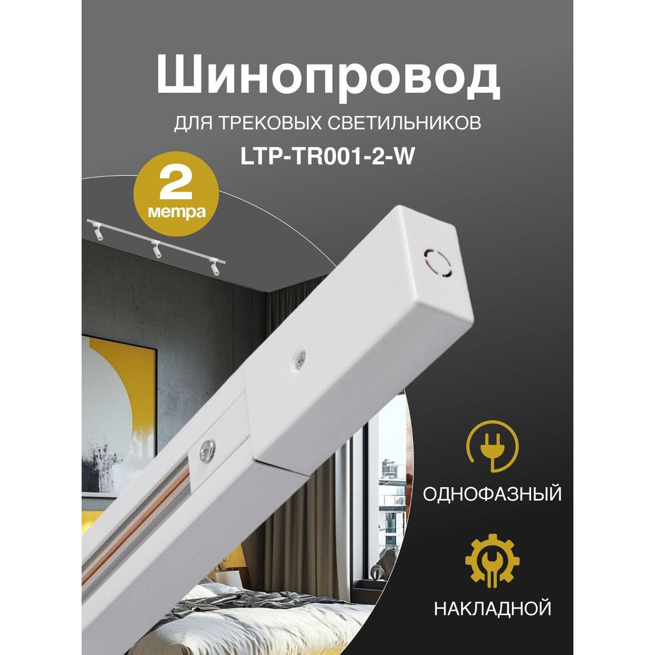 Изображение товара Светильник трековый, спот Lucia Tucci LTP-TR001-2-W