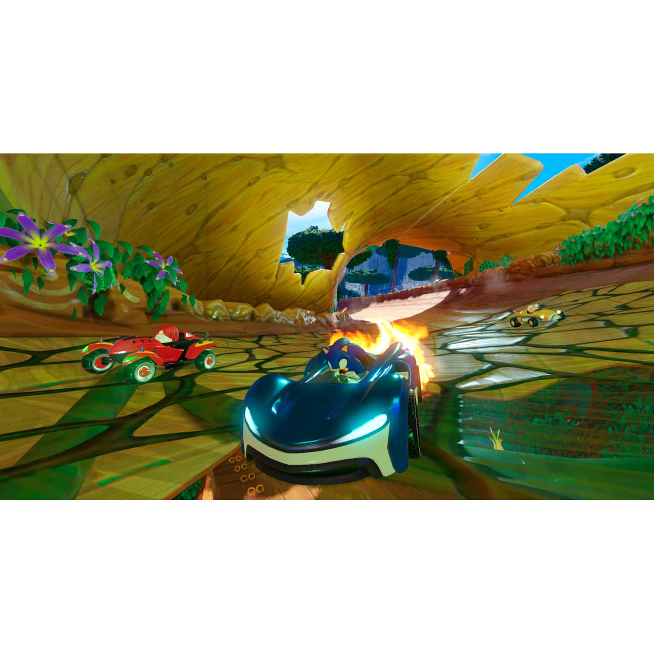 Купить Игра Sega Nintendo Team Sonic Racing в каталоге интернет магазина  М.Видео по выгодной цене с доставкой, отзывы, фотографии - Москва