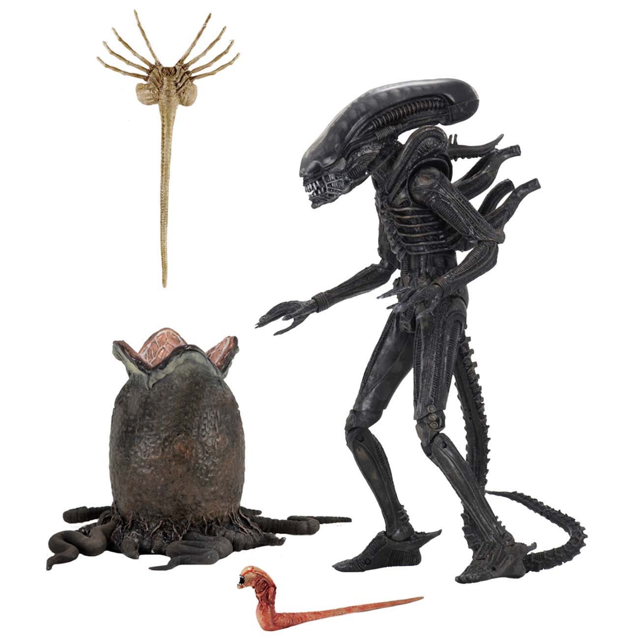 purchase now NECA Alien Ellen Ripley in Compression Suit w Jonesy & Big  Chap Ultimate Edition