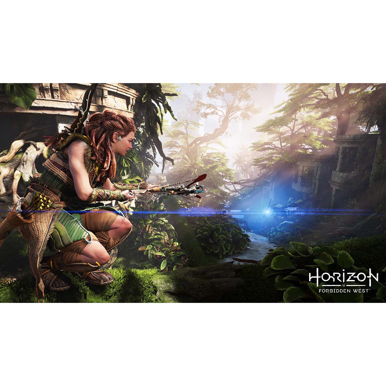 PS4 игра PlayStation Horizon Запретный Запад